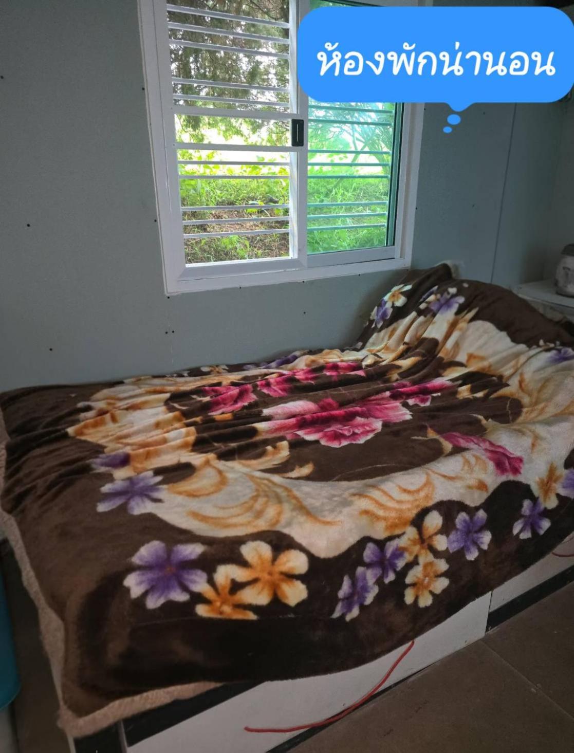 One-Bedroom Chalet photo 2