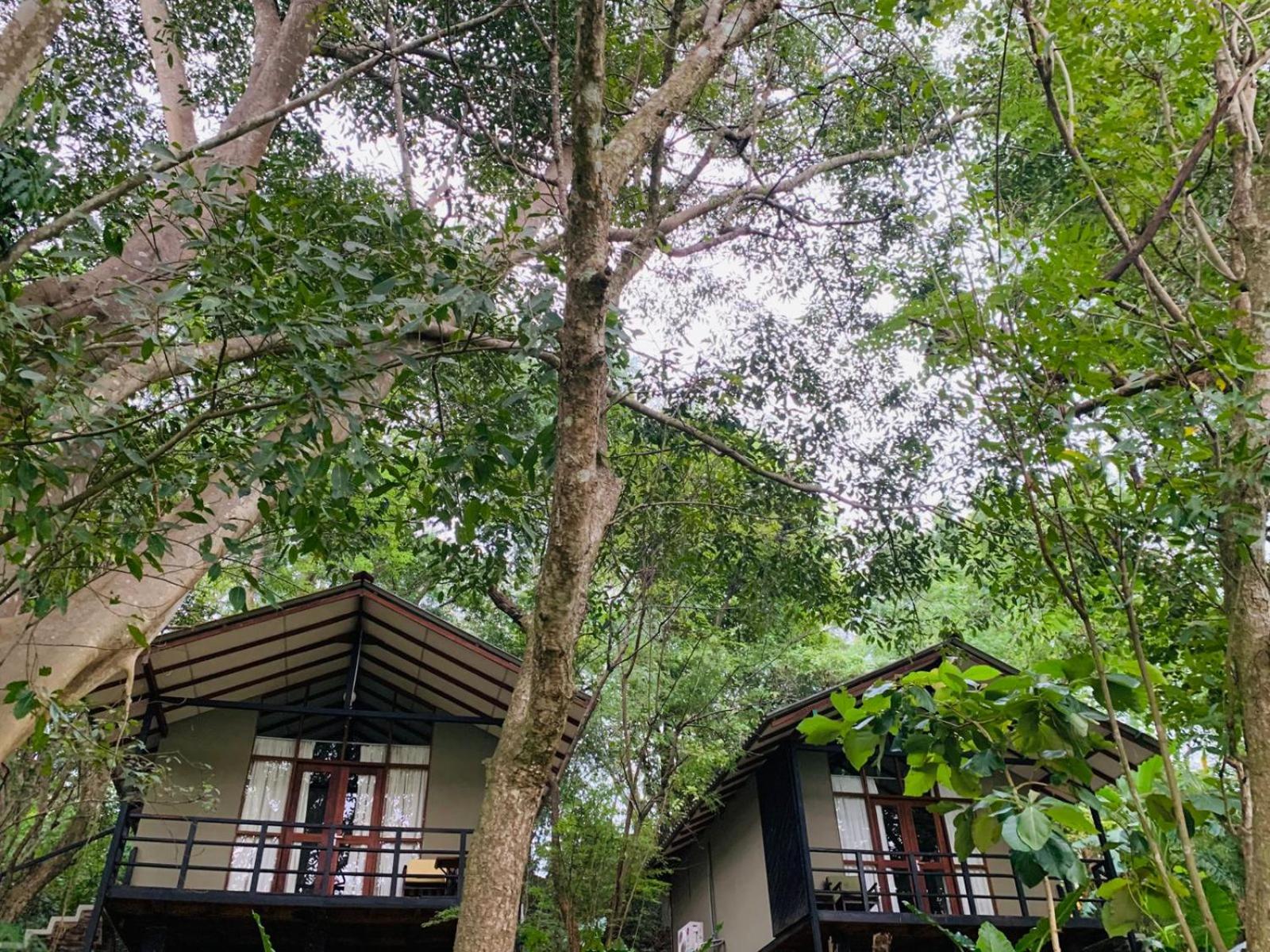 Chalet photo 1