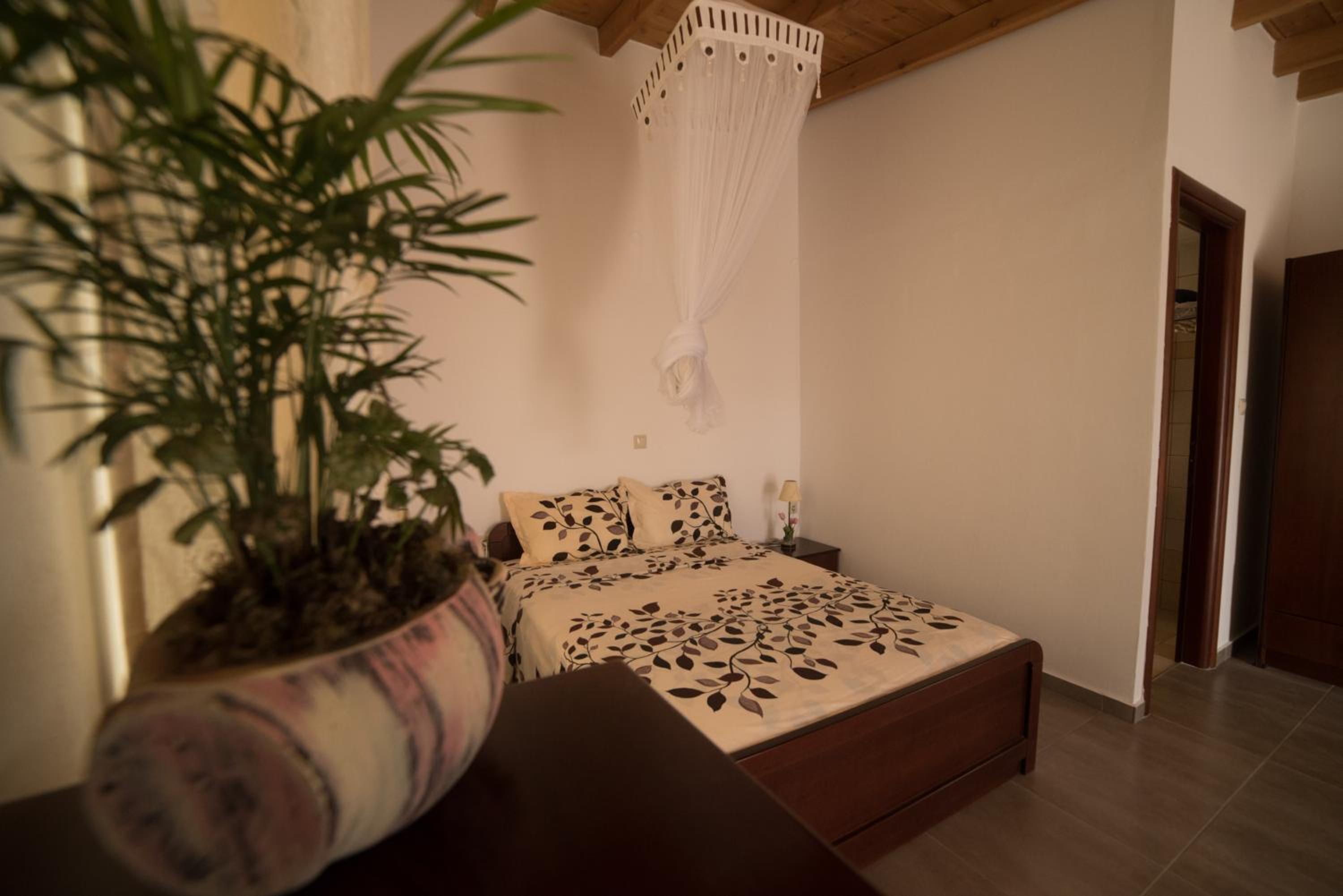 Studio with Terrace photo 3