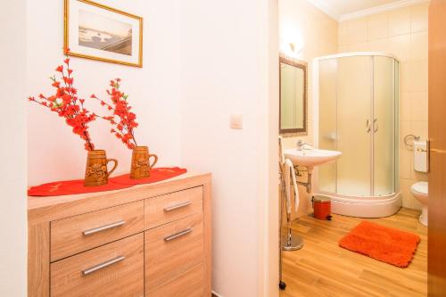 Deluxe Apartment with Terrace