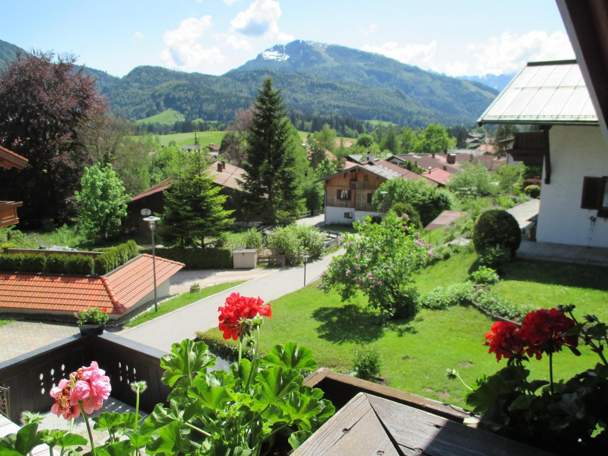 Apartment with Mountain View photo 2