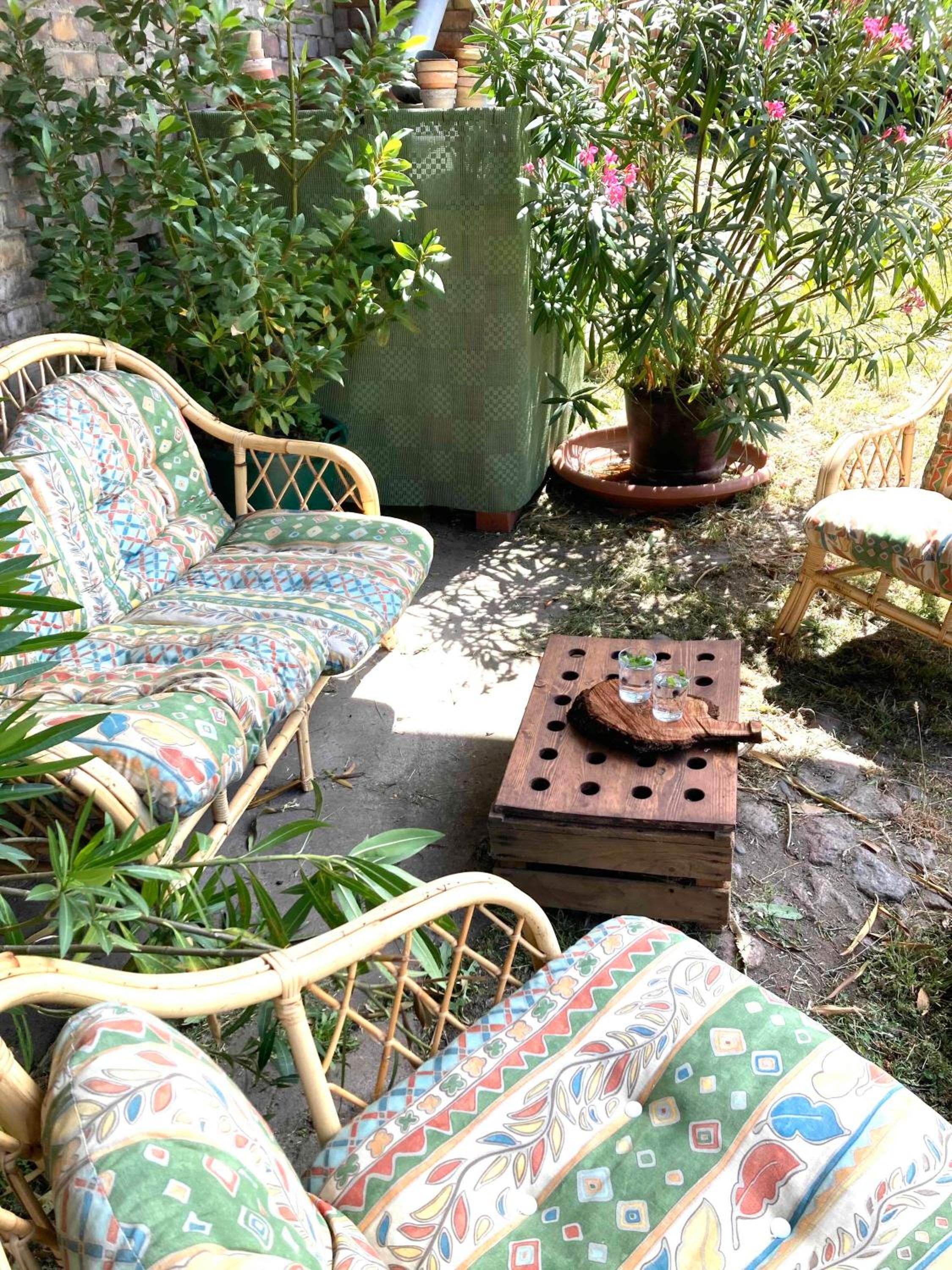 Apartment with Terrace photo 2