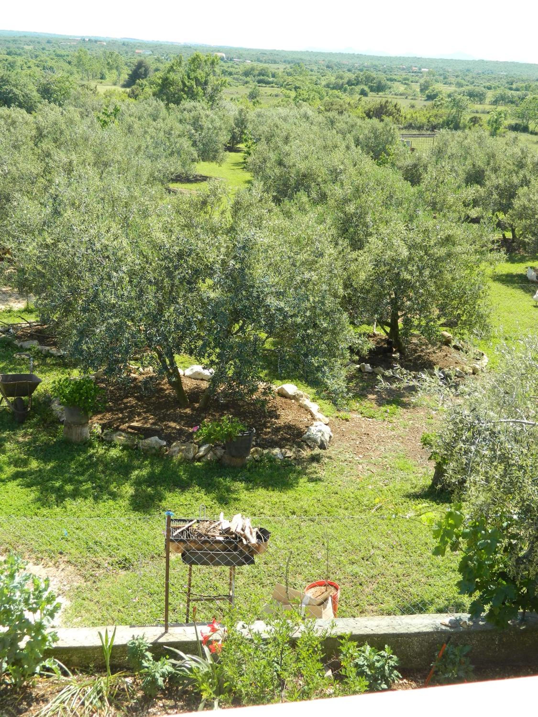 Apartment - Ground Floor photo 3