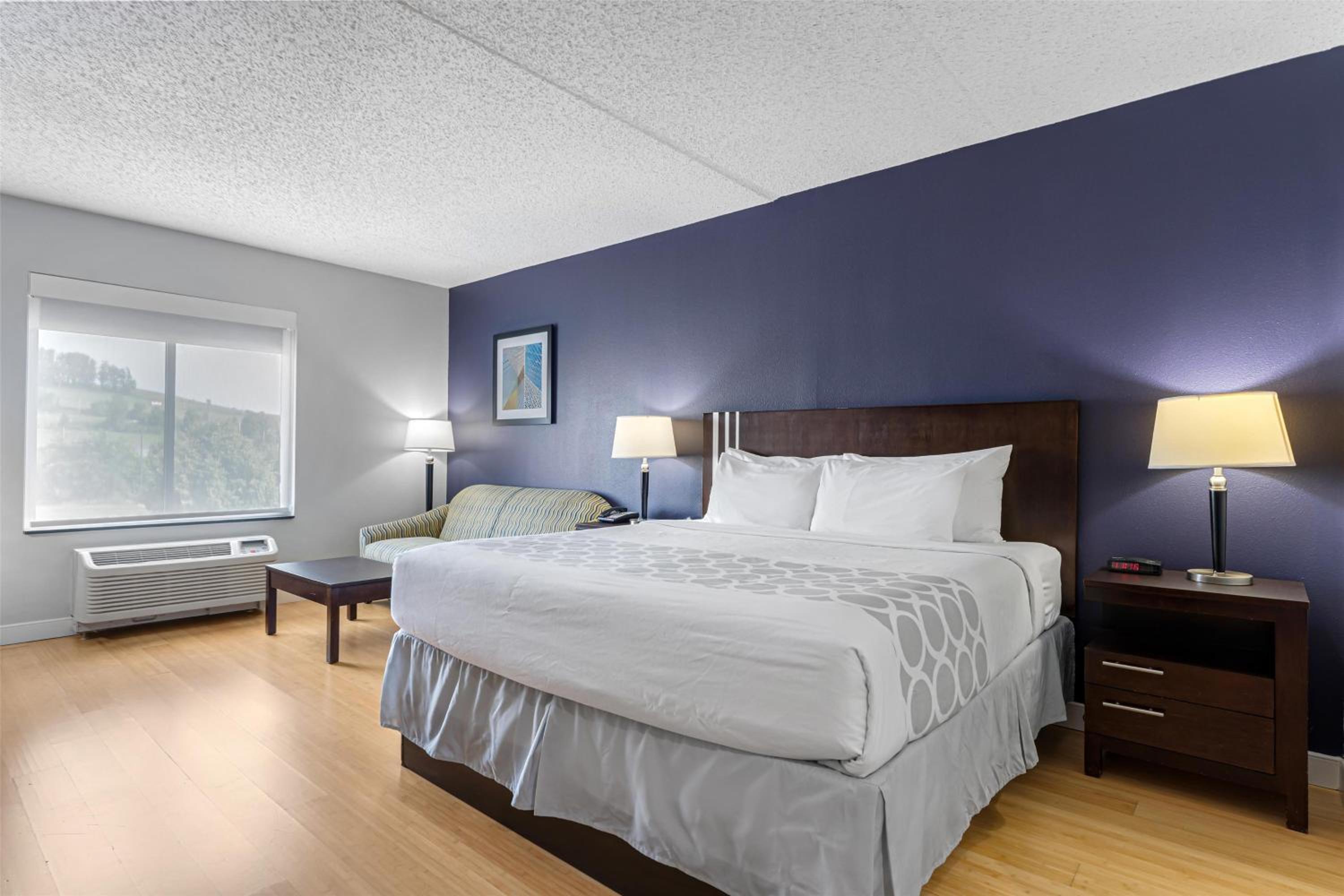 King Room with Sofa Bed - Pet Friendly photo 1