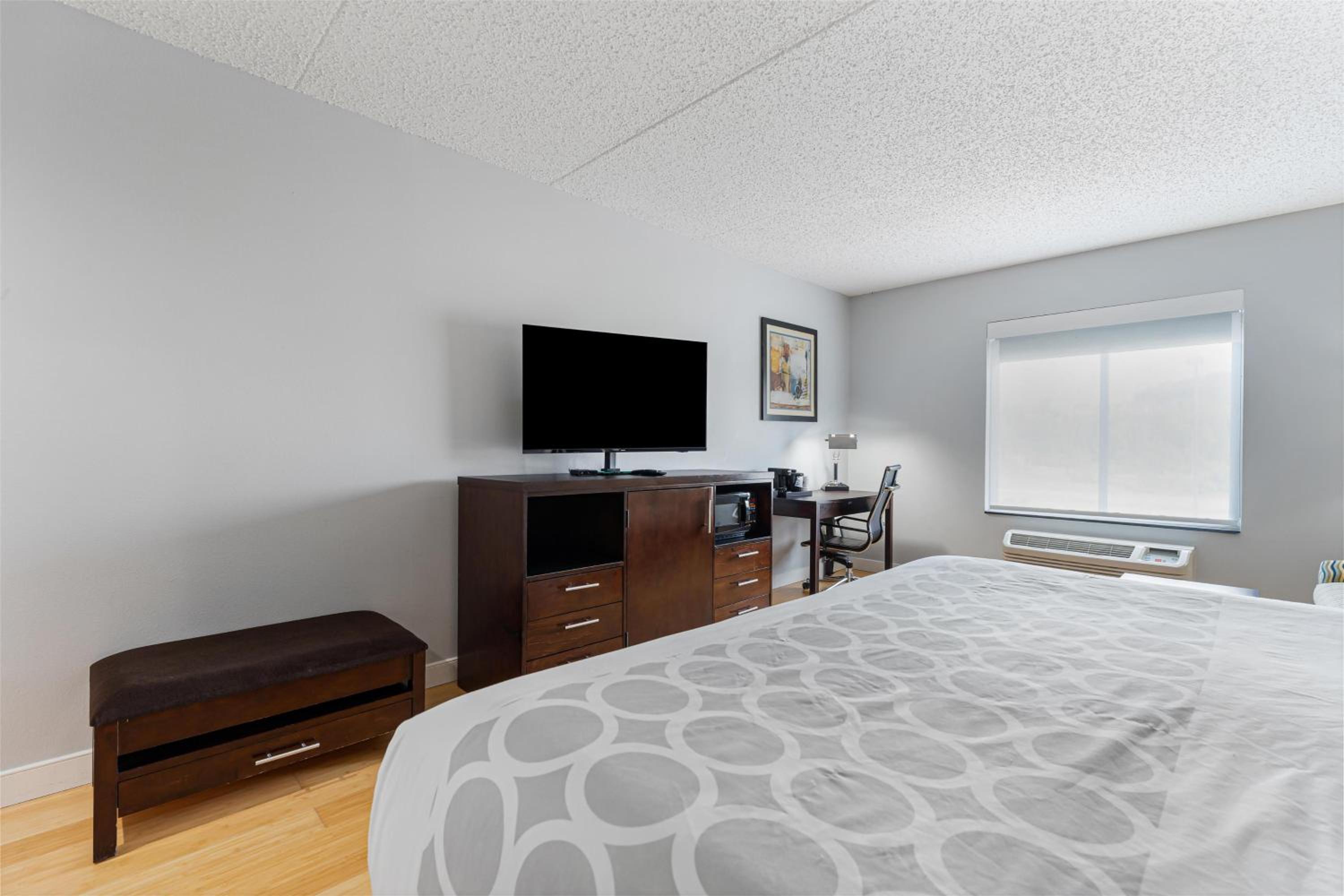 King Room with Sofa Bed - Pet Friendly