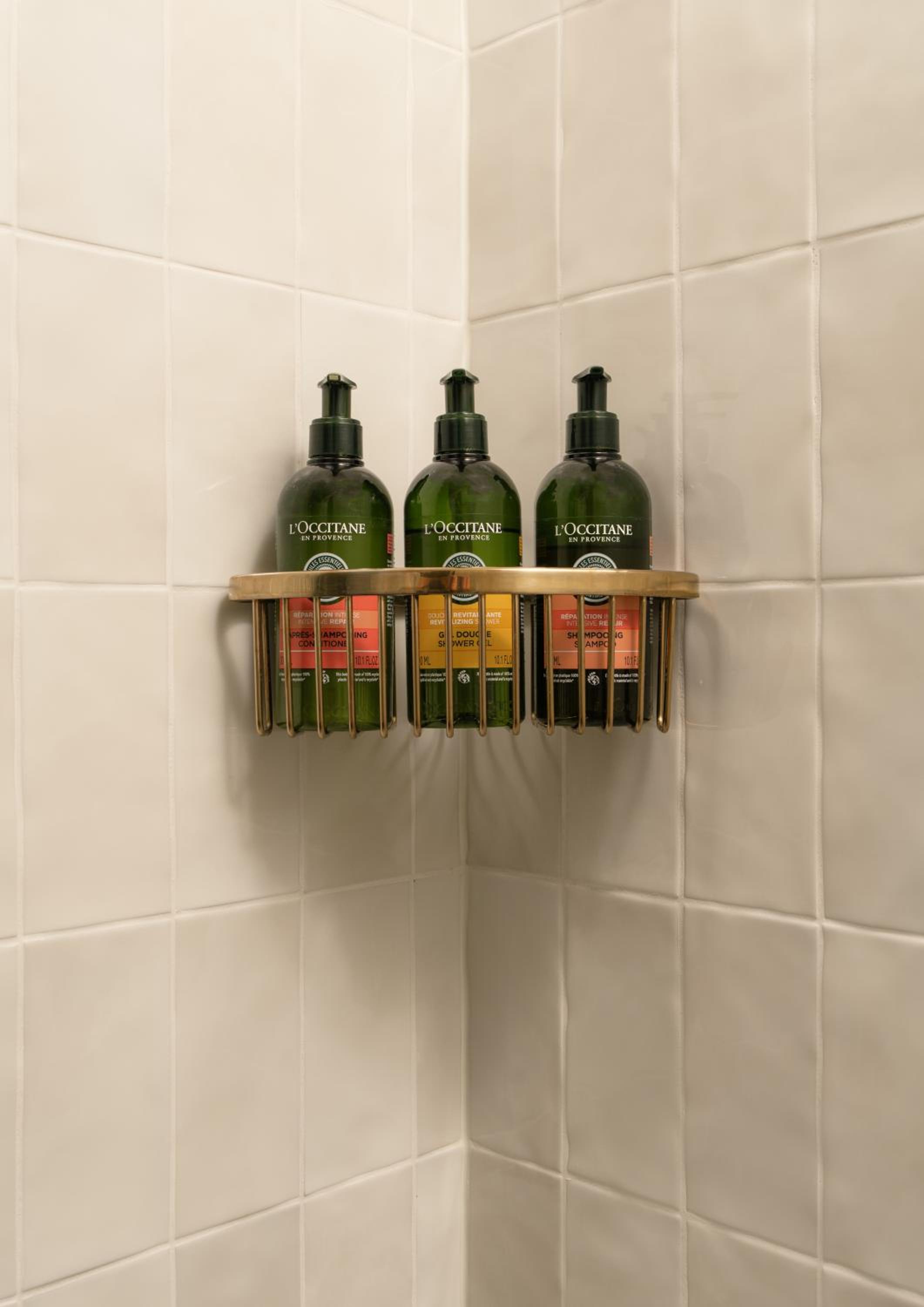 Standard King ADA Roll-in Shower Renovated
