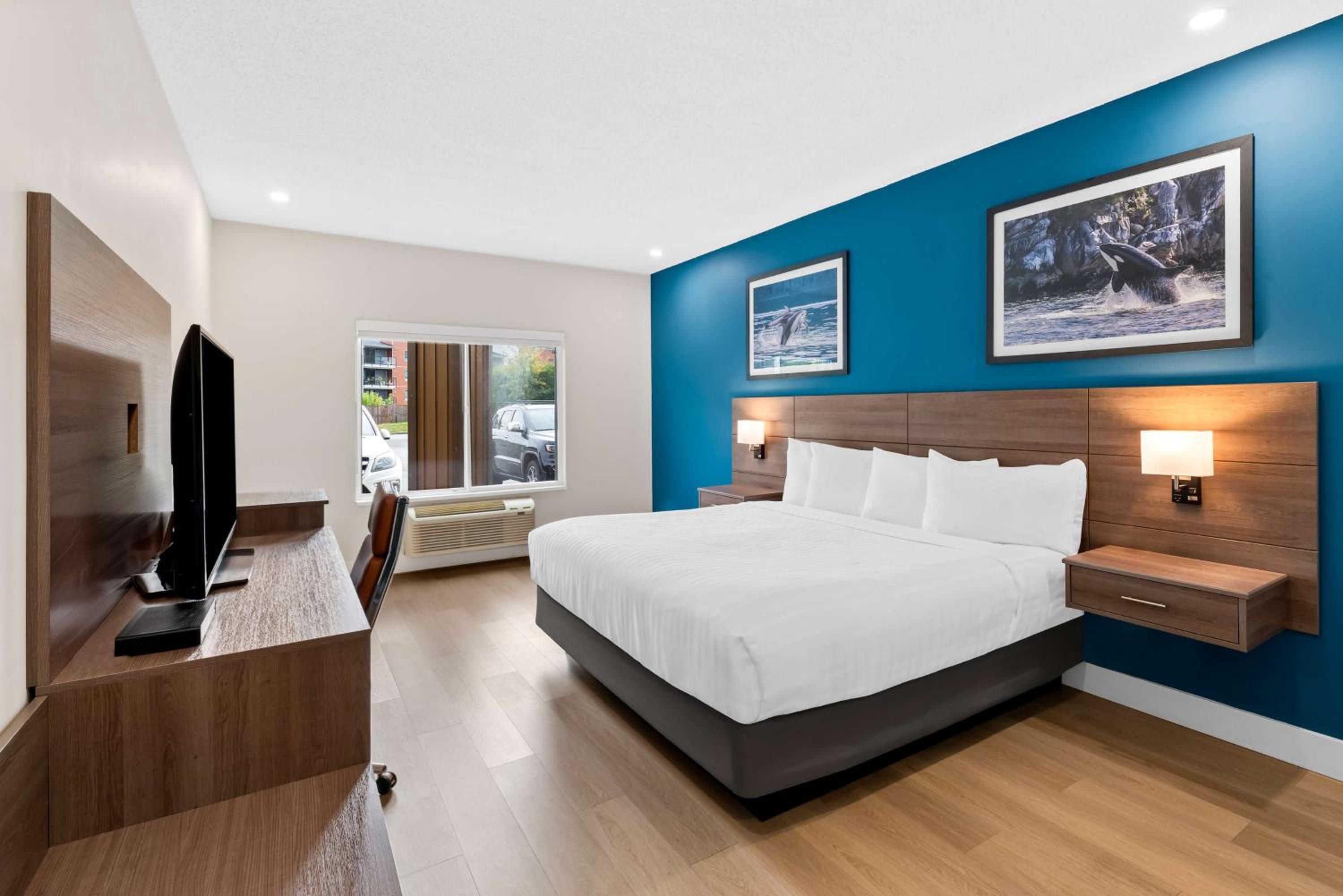 King Room with Walk-In Shower - Disability/Non-Smoking - Photo 1