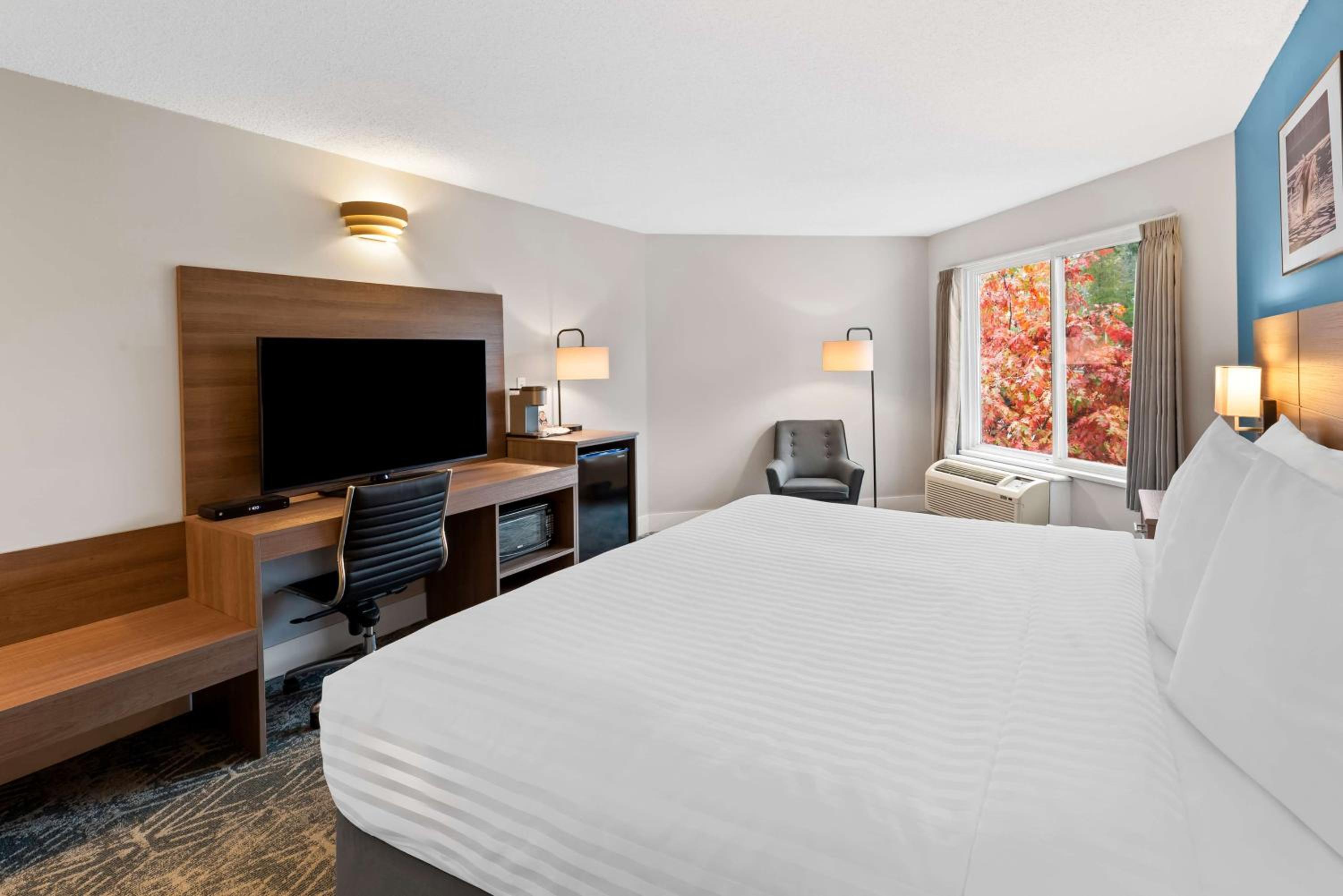 King Room - Non-Smoking - Photo 3