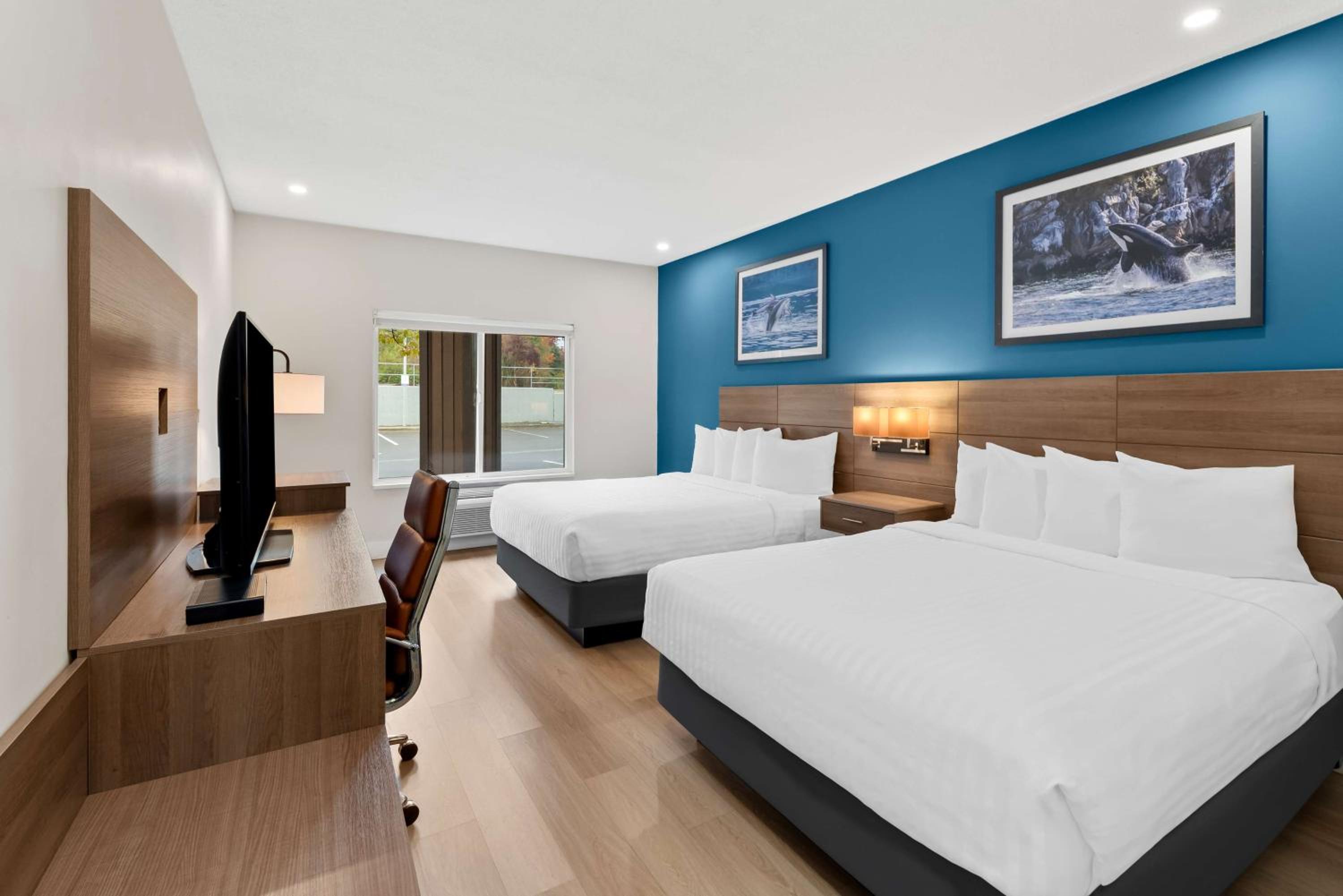 Queen Room with Two Queen Beds and Walk-In Shower - Non-Smoking - Photo 1