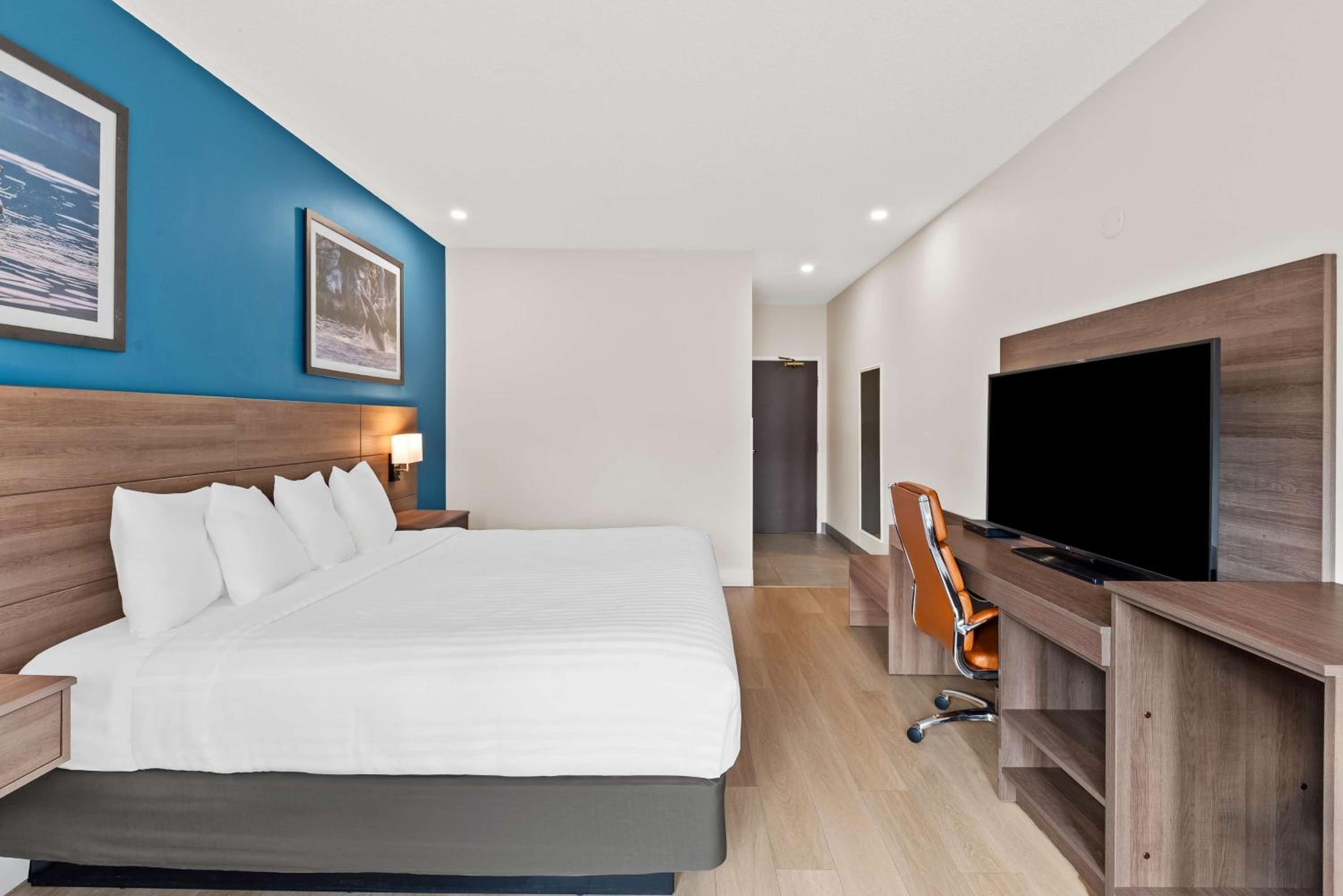 King Room with Walk-In Shower - Disability/Non-Smoking - Photo 2