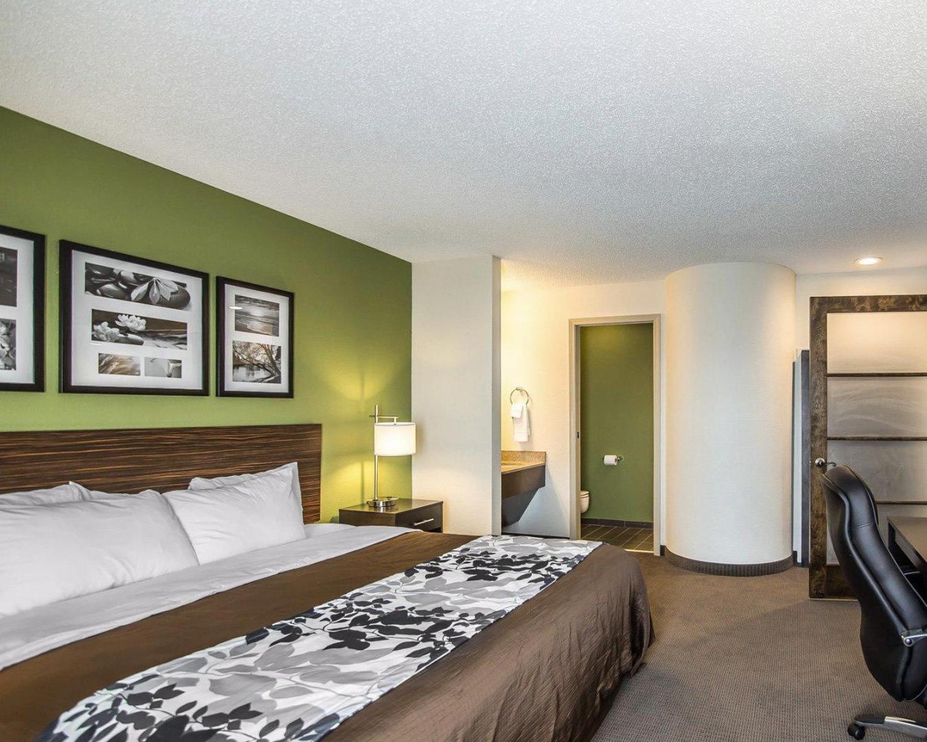 King Room - Non-Smoking photo 2