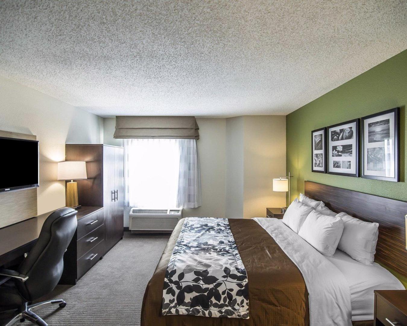 King Room - Non-Smoking photo 3