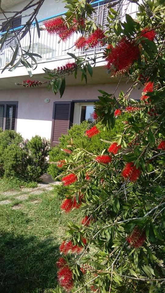 Double Room with Park View