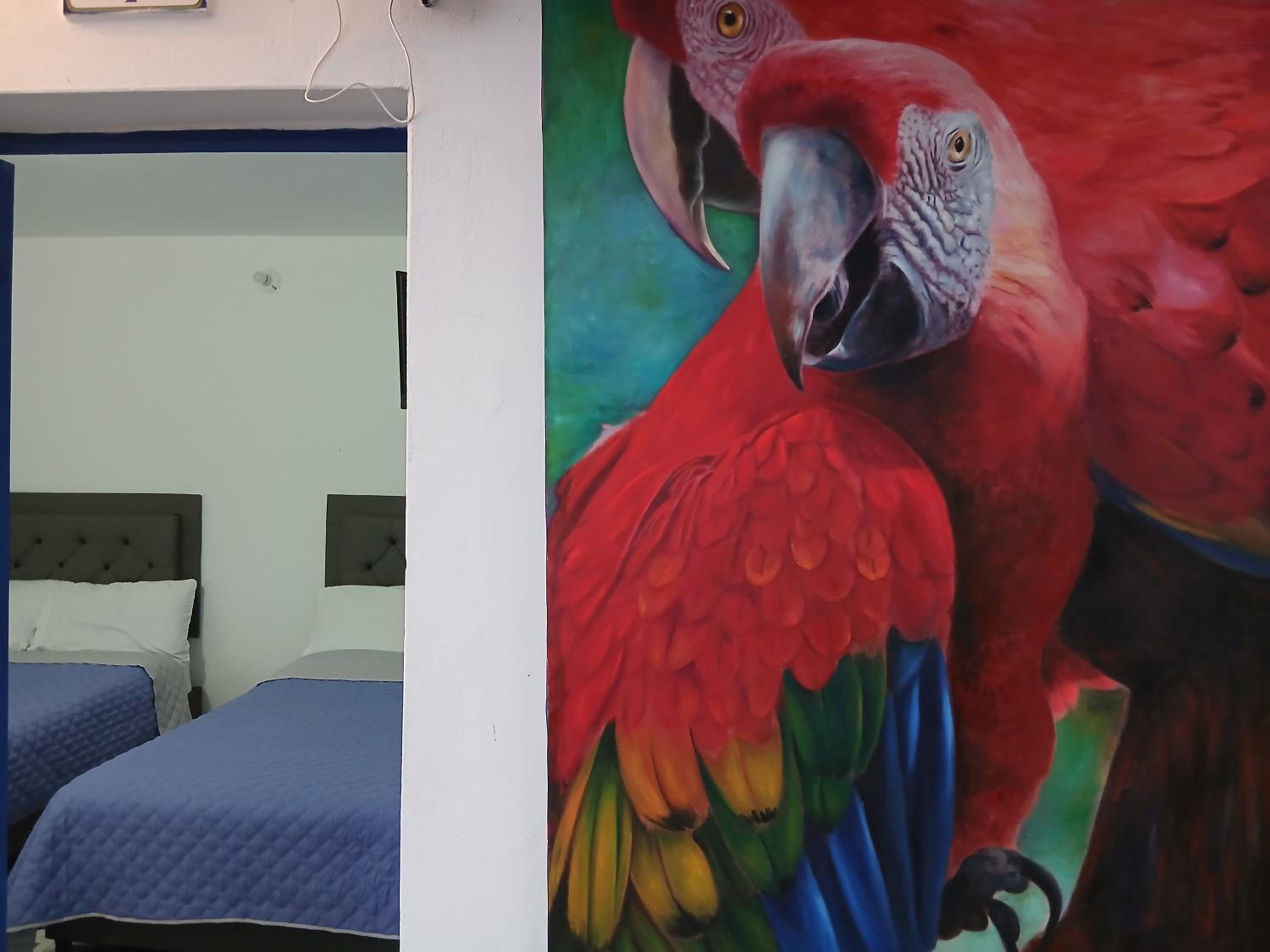 Family Double Room