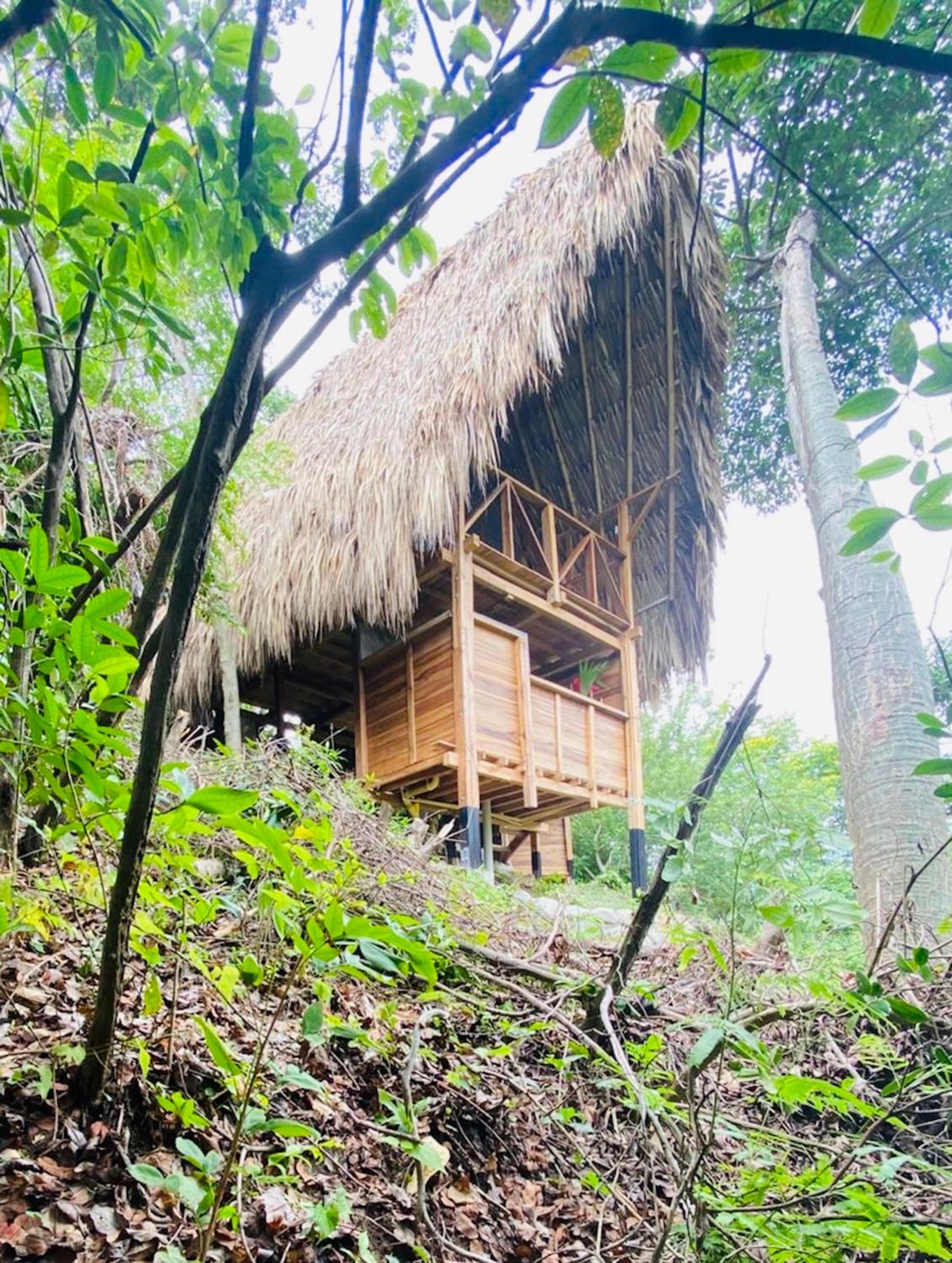Double Room with Mountain View photo 1