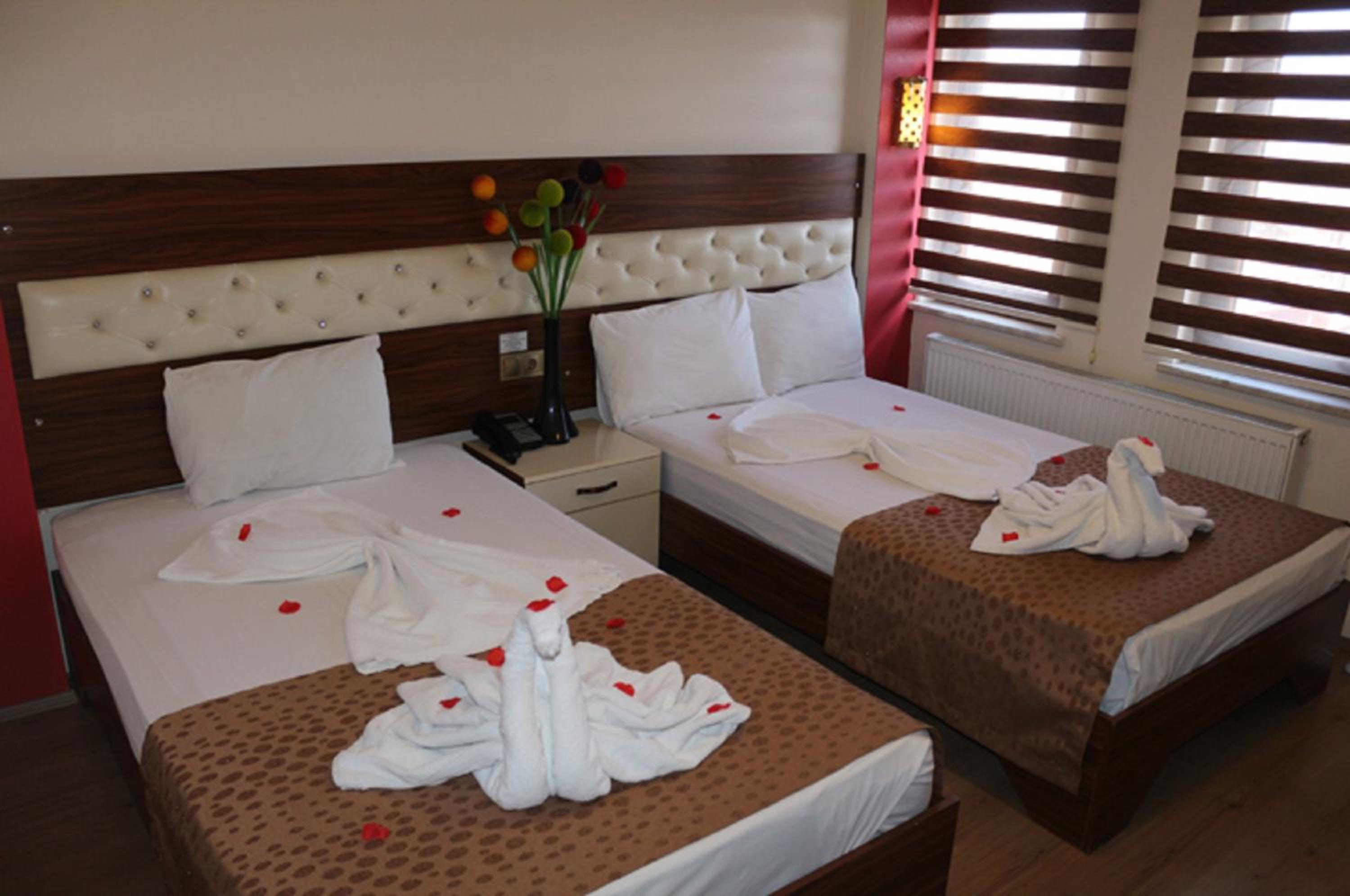 Standard Double Room photo 1