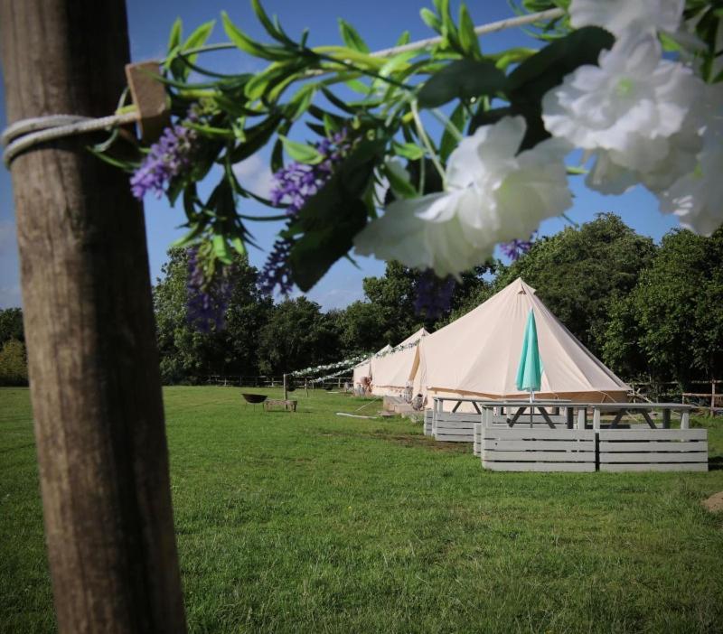Tent photo 1
