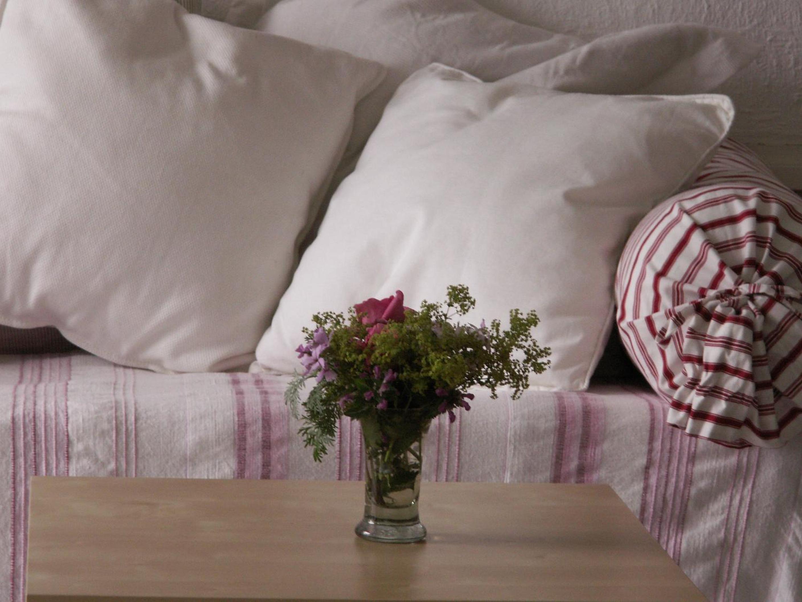 Double Room with Terrace photo 3