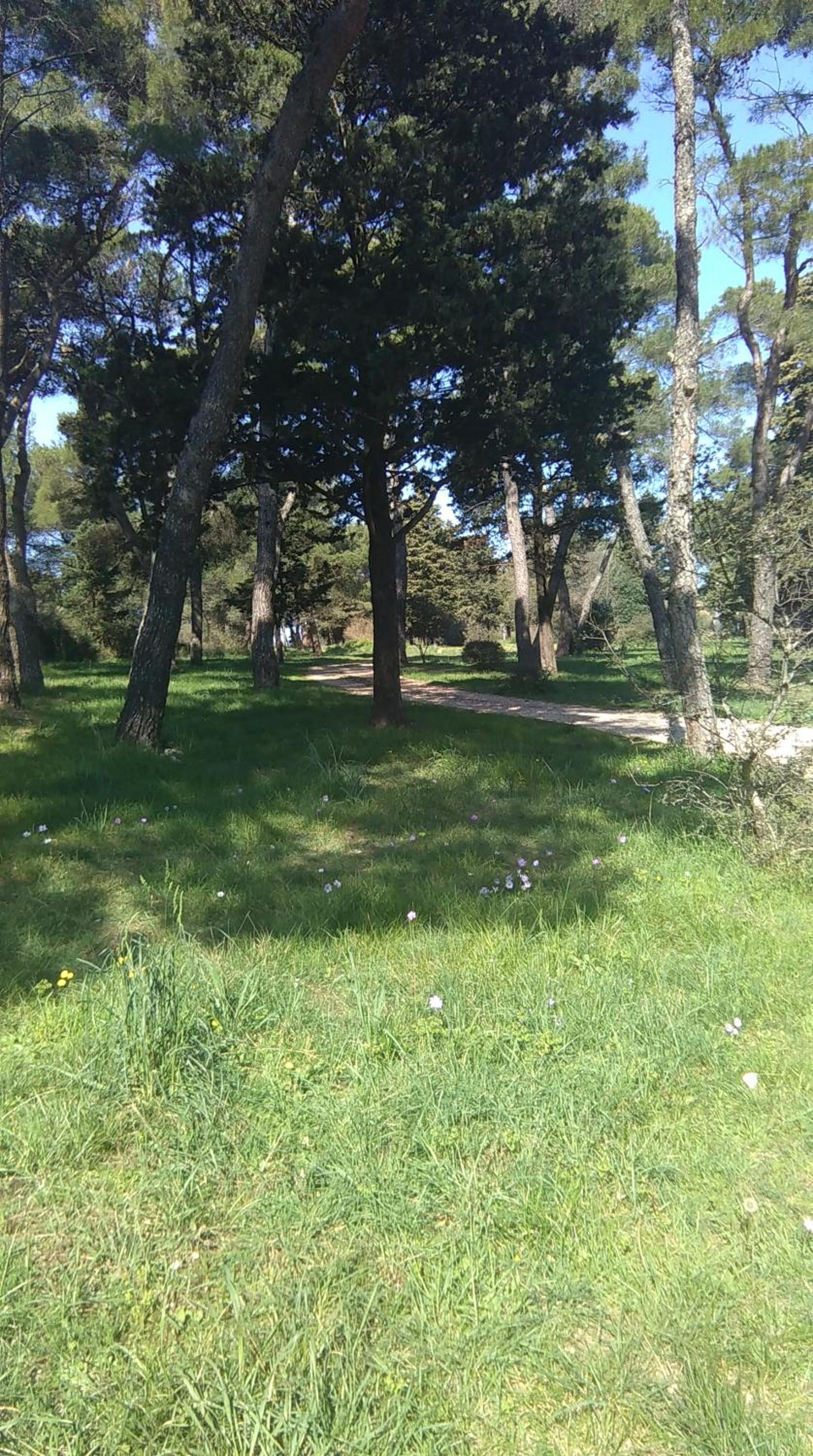 Apartment - Ground Floor - Photo 4