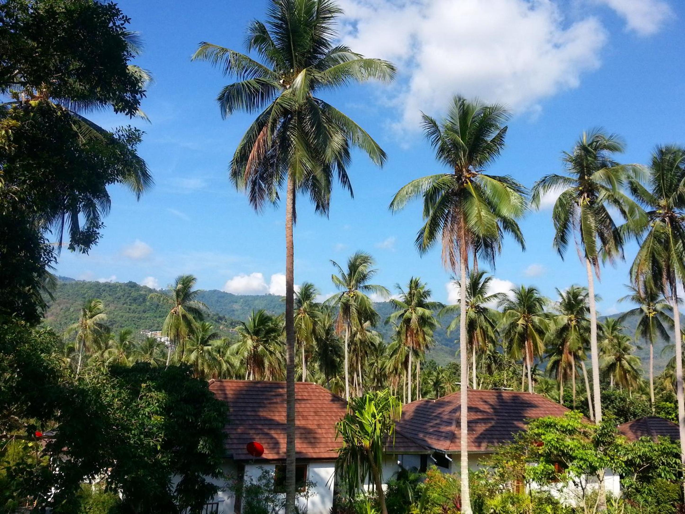 2-Bedroom Deluxe Villa with Private Pool
