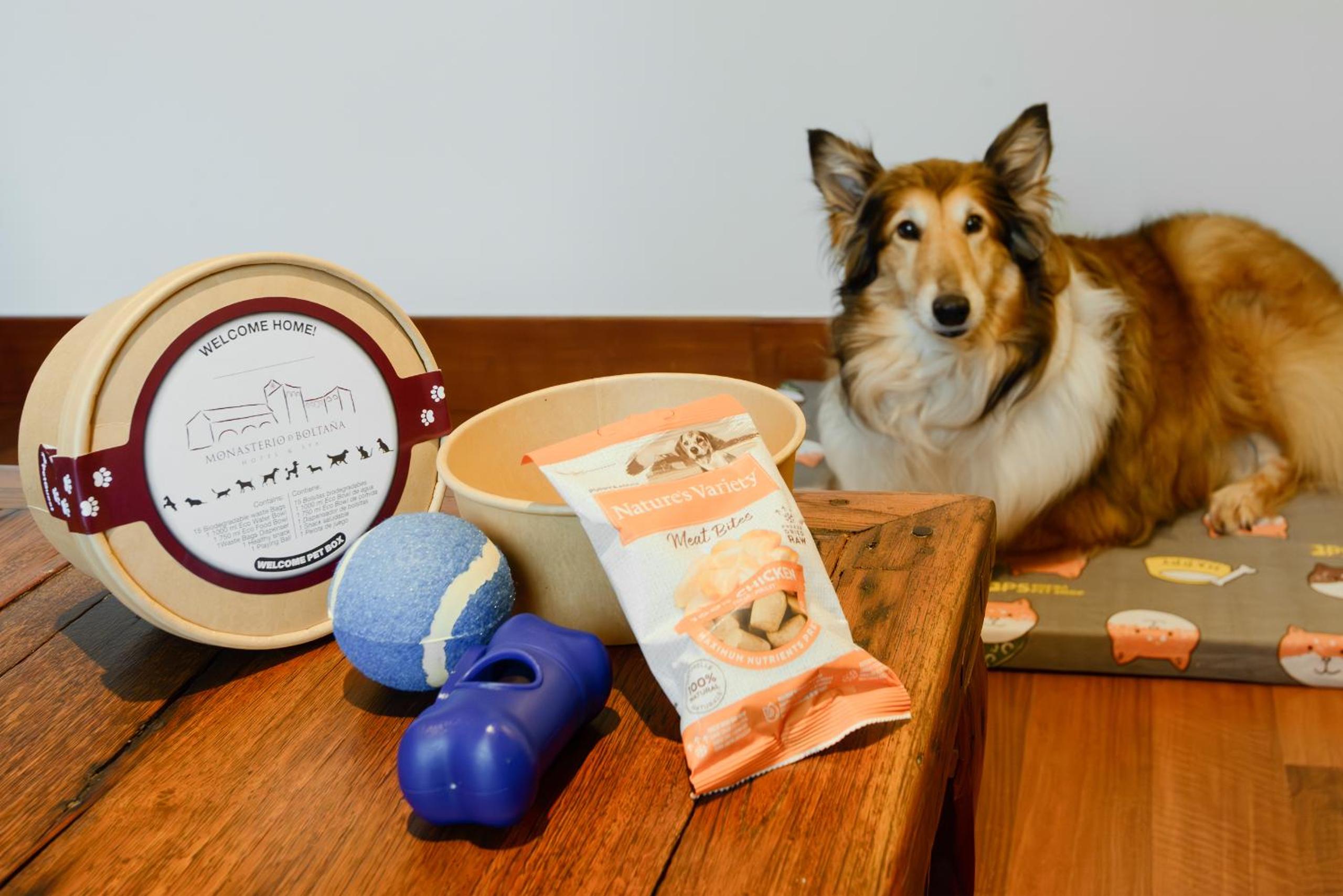 Deluxe Villa – Pet Friendly