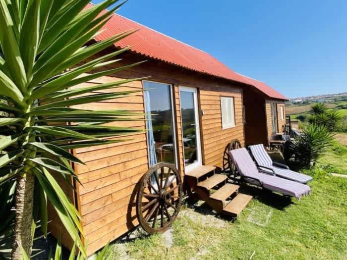 Chalet photo 1