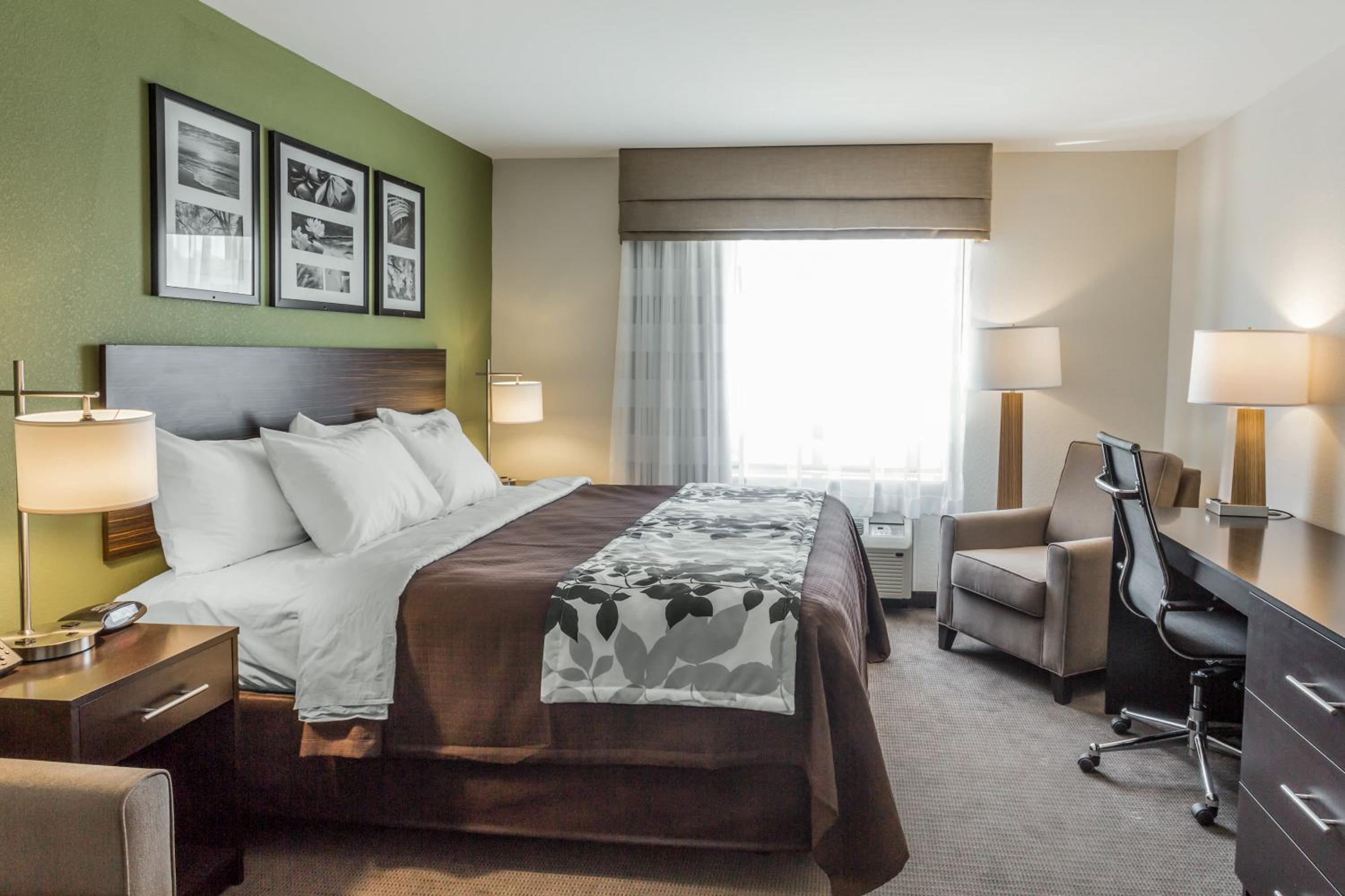 King Suite - Accessible/Non-Smoking photo 3