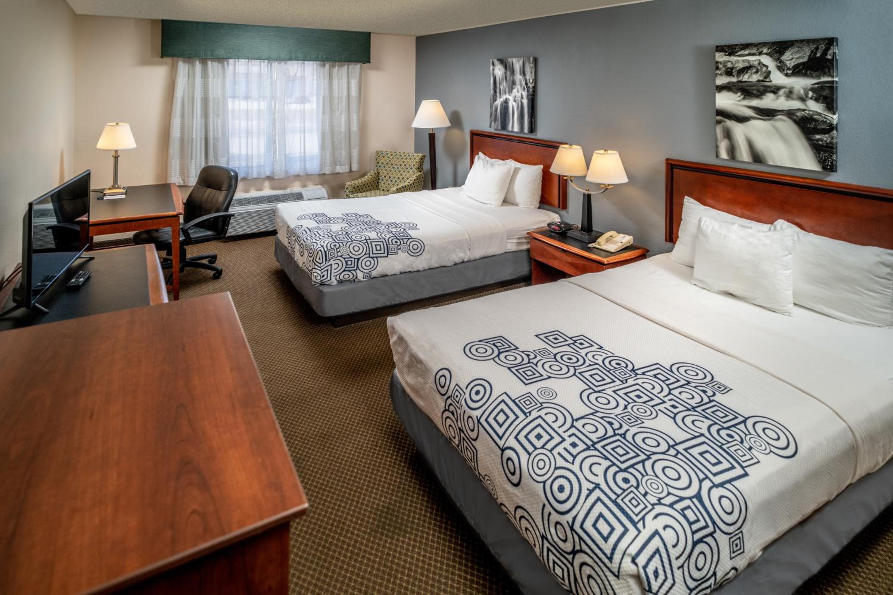 Quadruple Room - Non Smoking/Pet Friendly - Photo 3