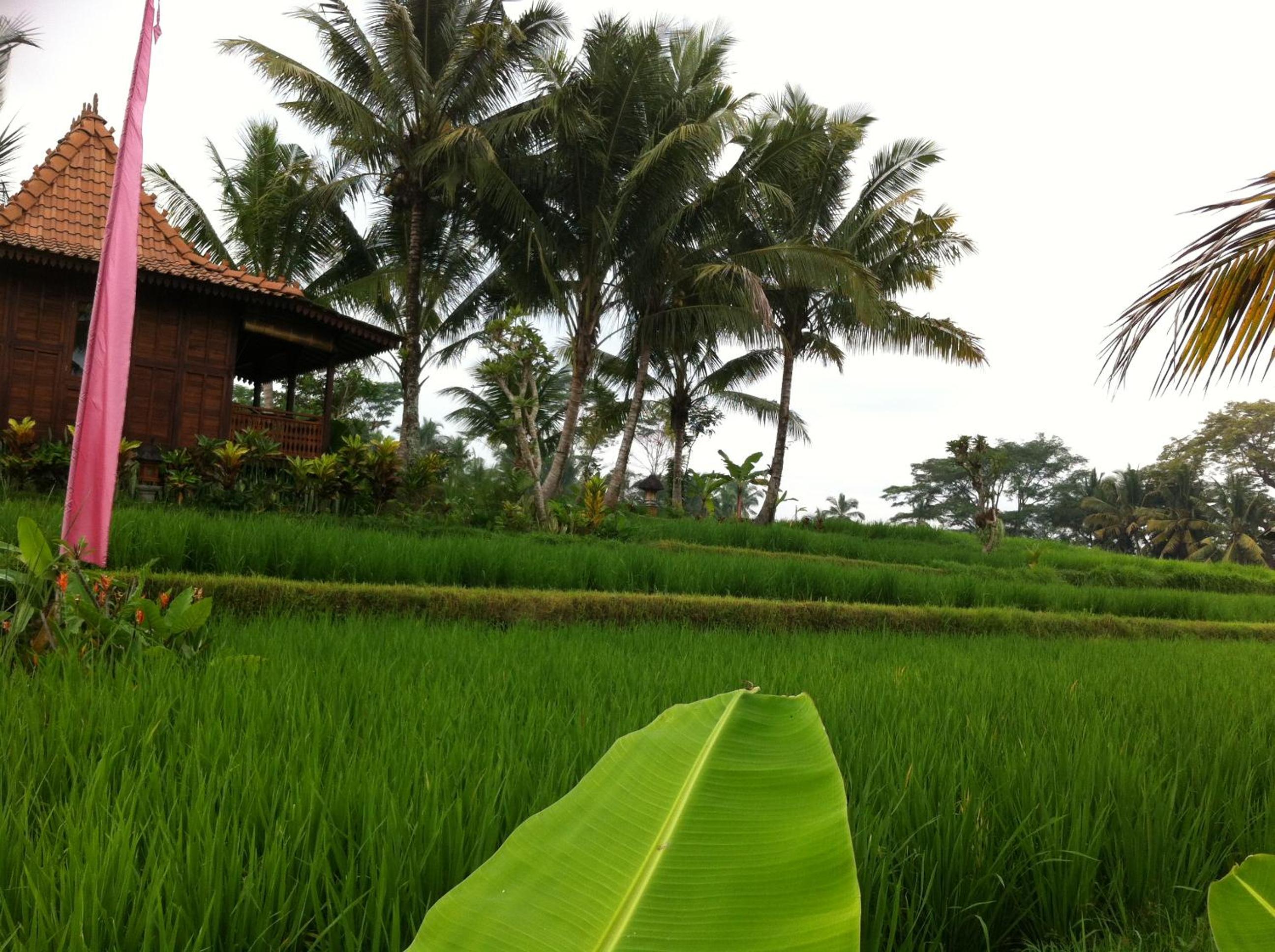 One-Bedroom Villa - Photo 105