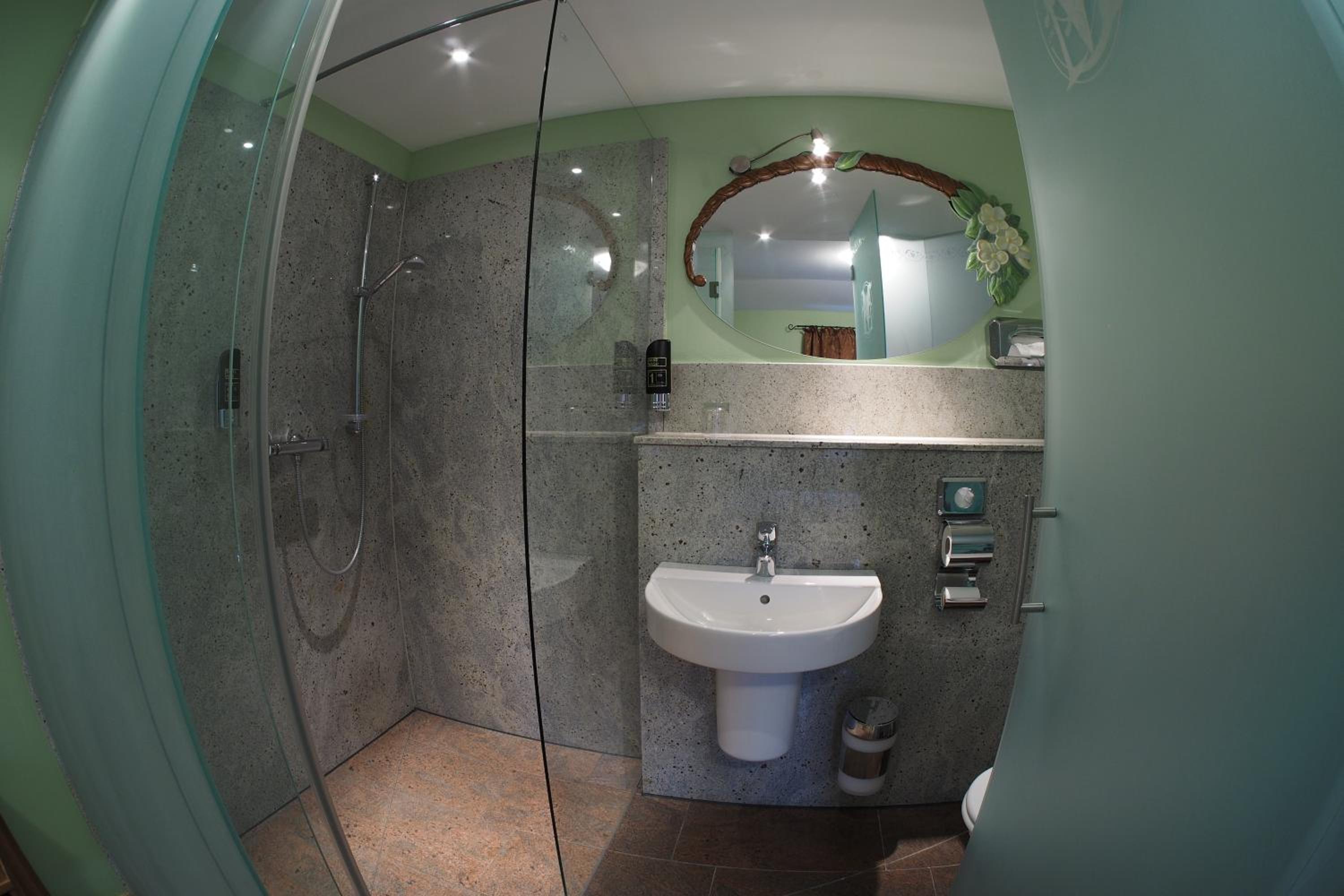 Large Single Room photo 2