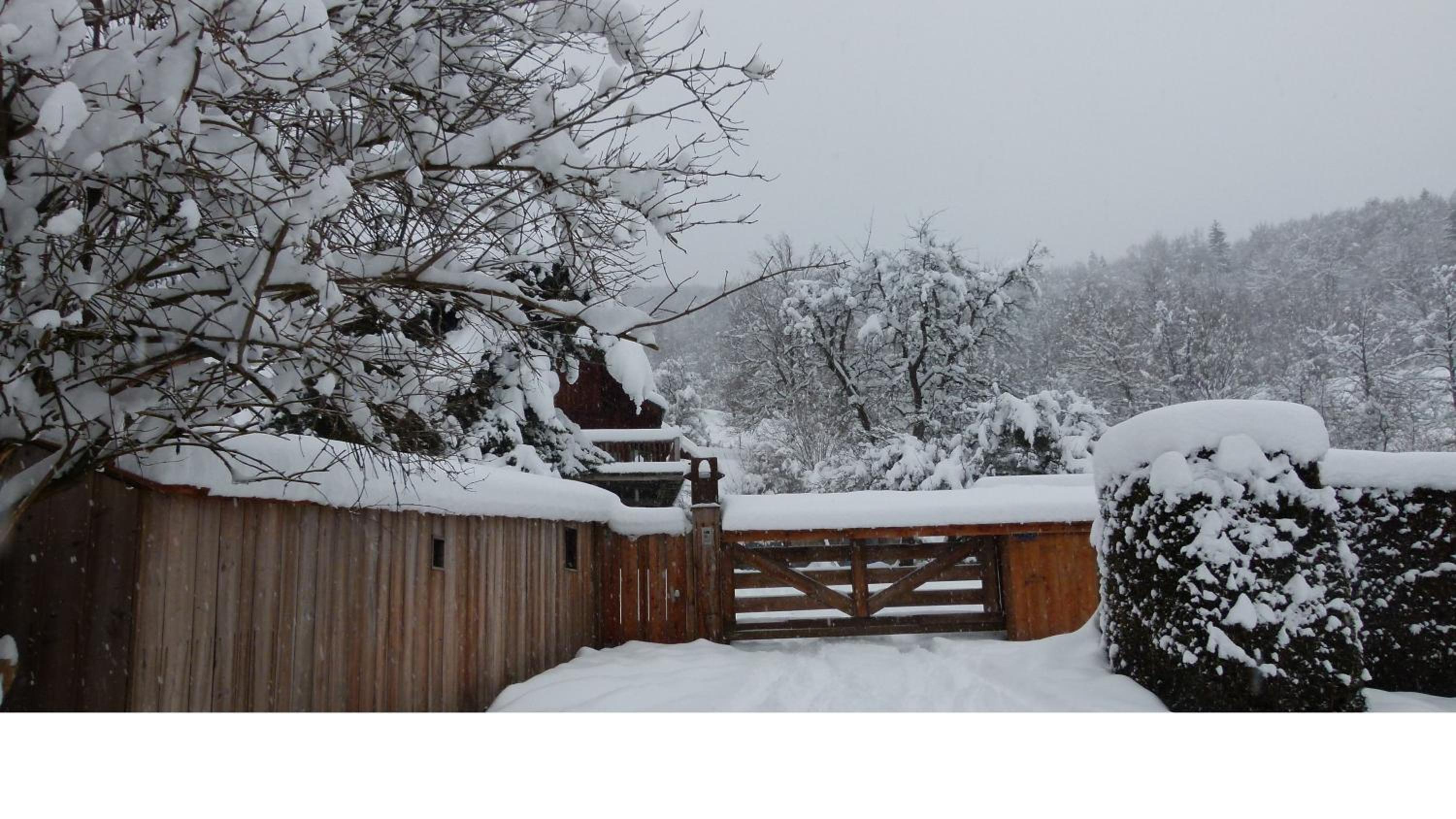 One-Bedroom Chalet - Photo 2