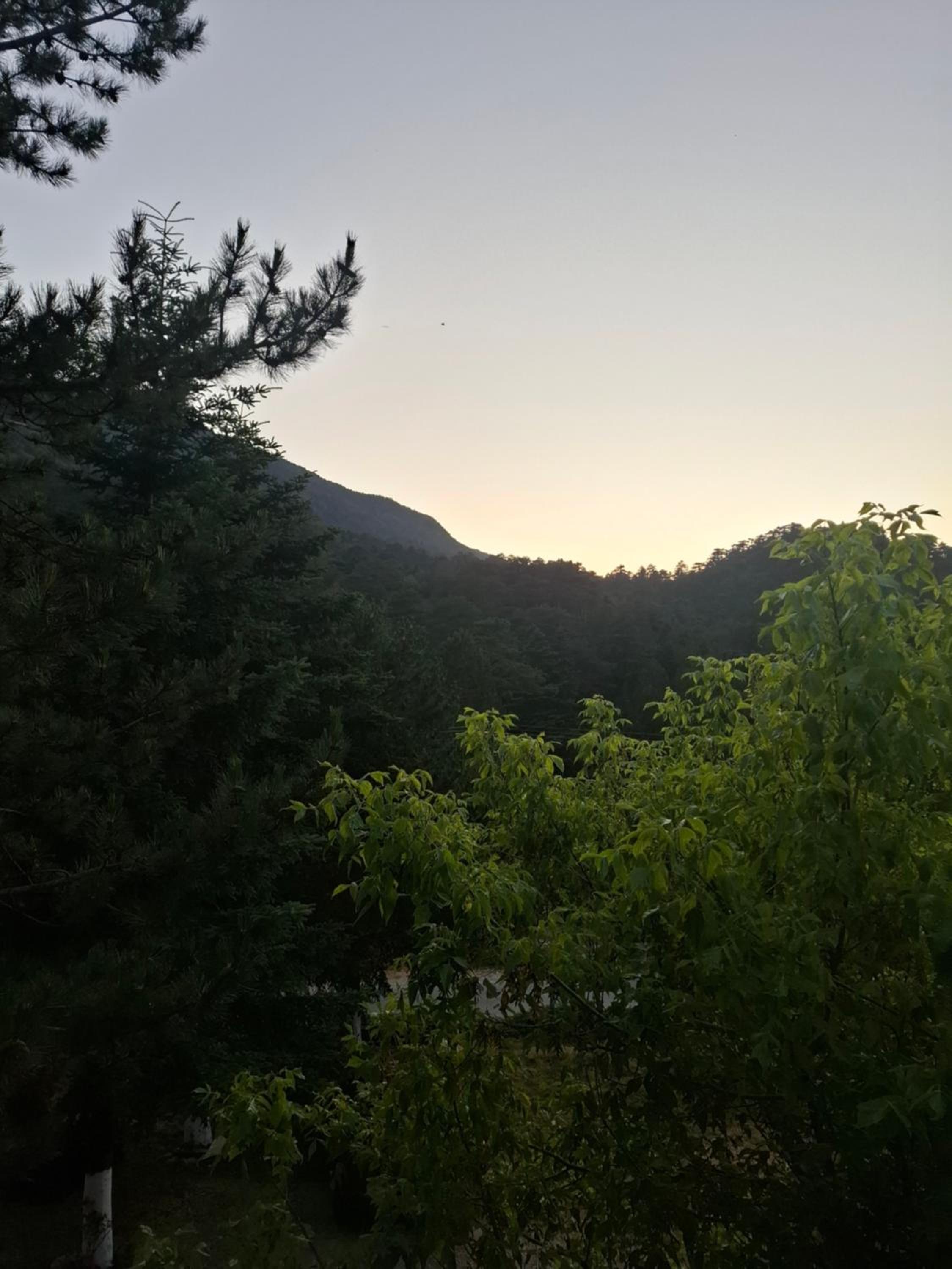 Quadruple Room with Mountain View