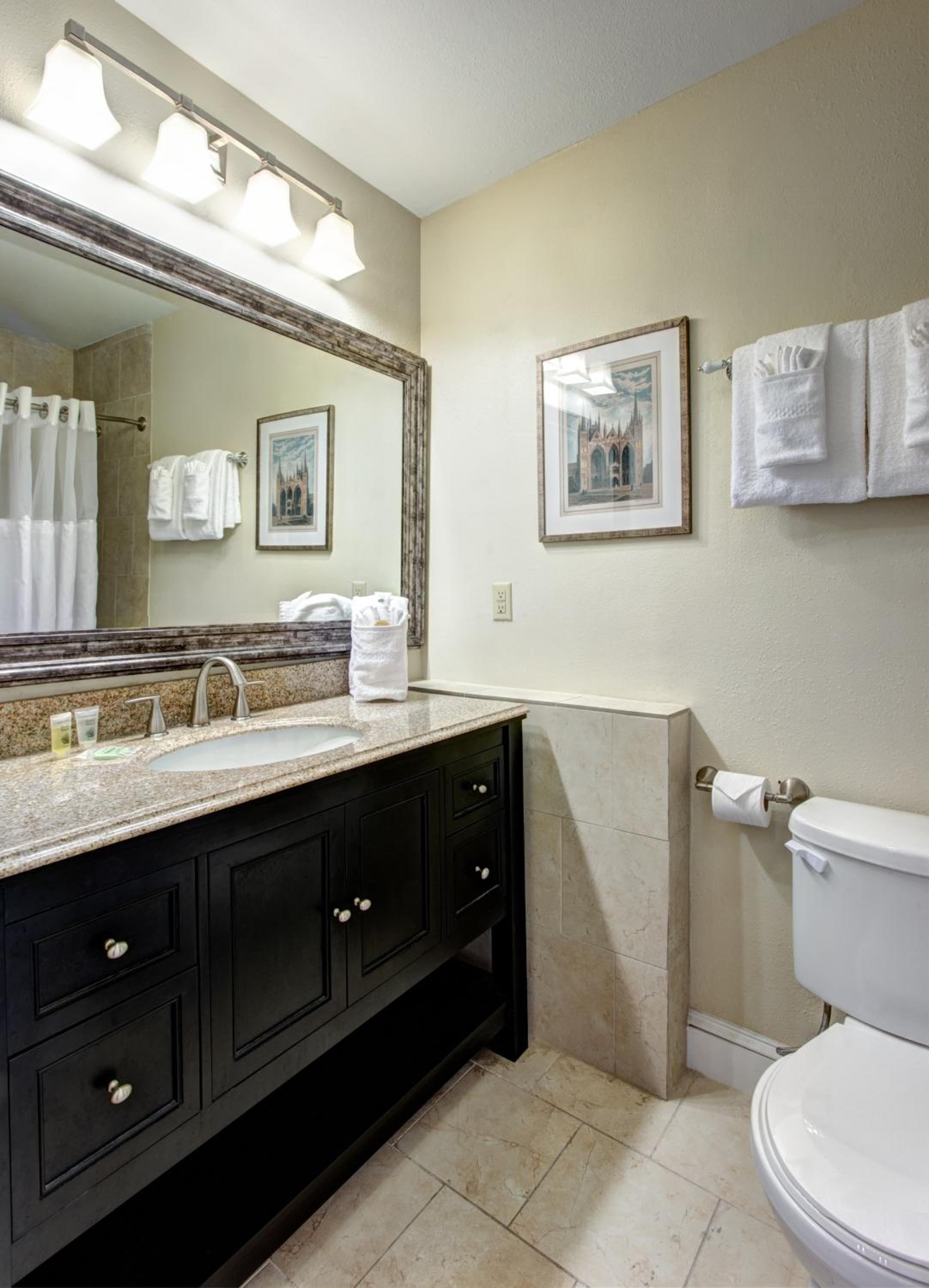 Suite with One King Bed photo 2