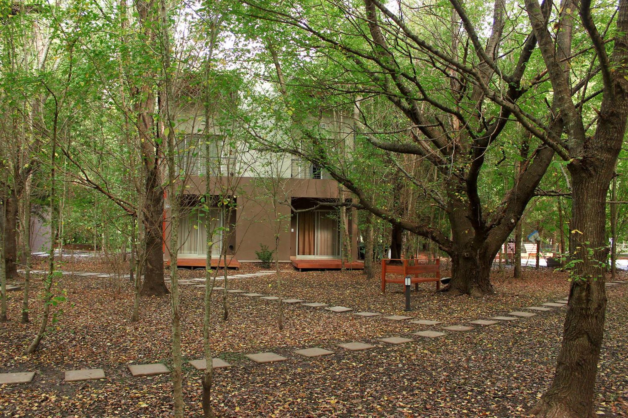 Superior Apartment photo 2