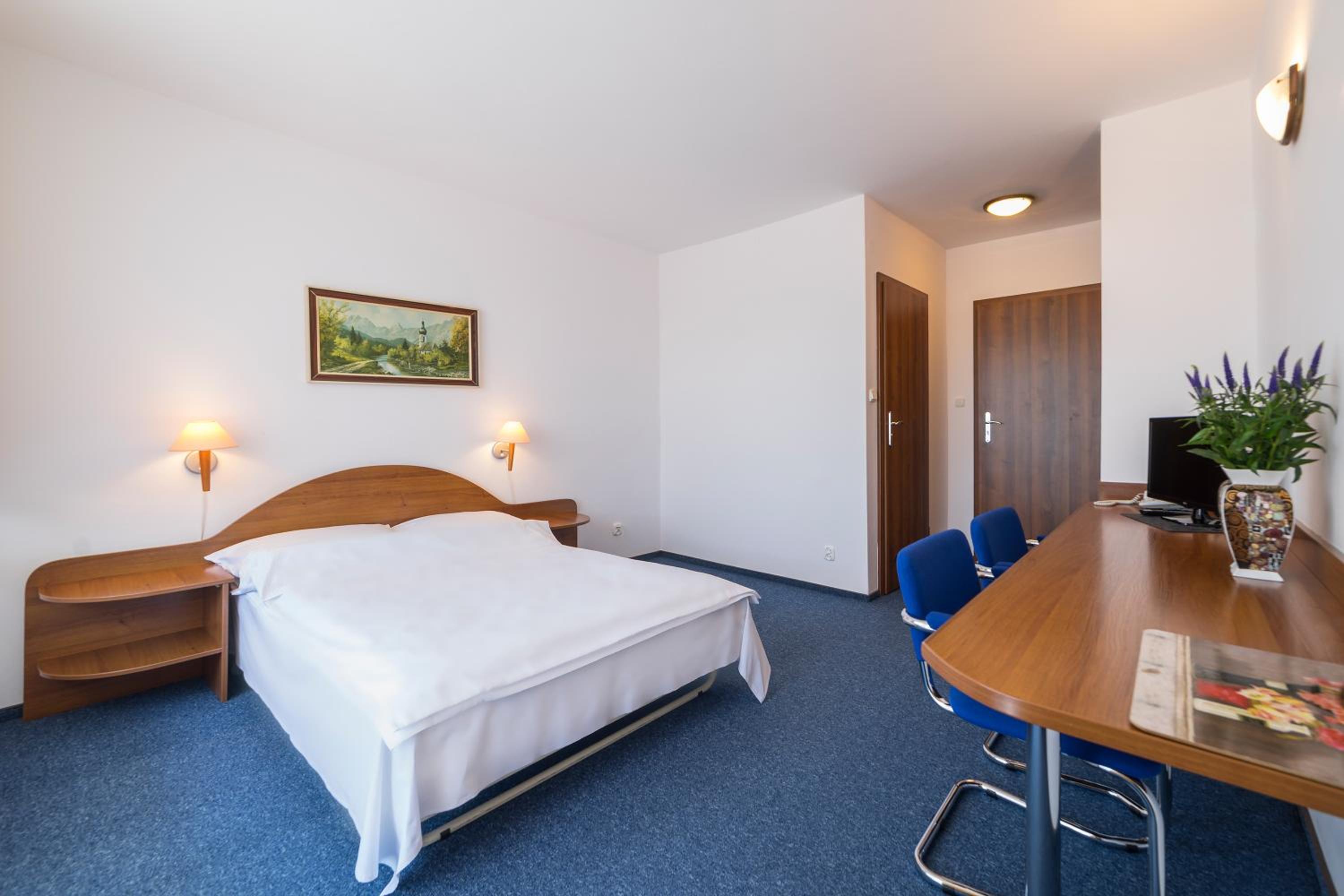 Single Room photo 2