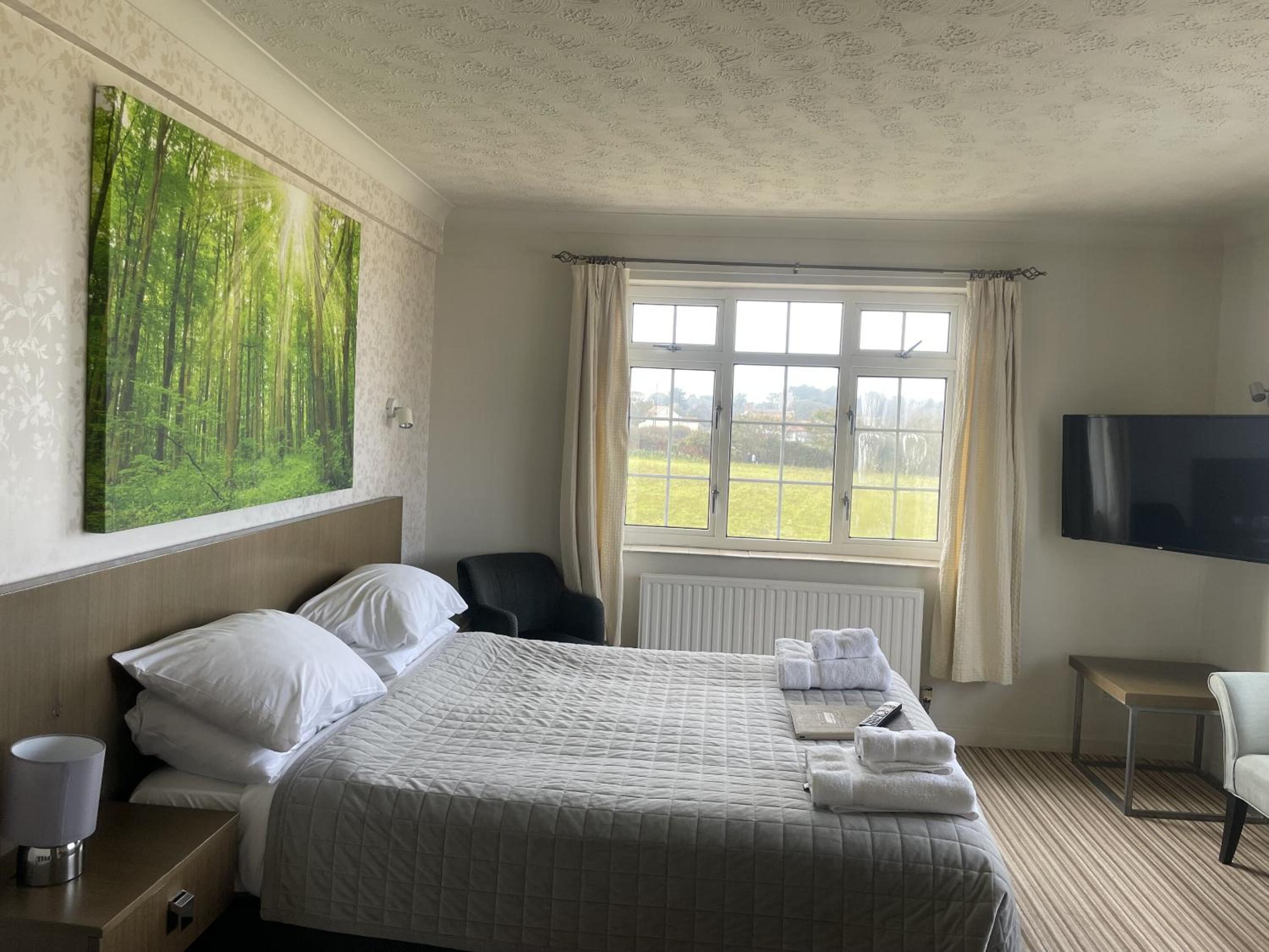 King Room with Sea View photo 3