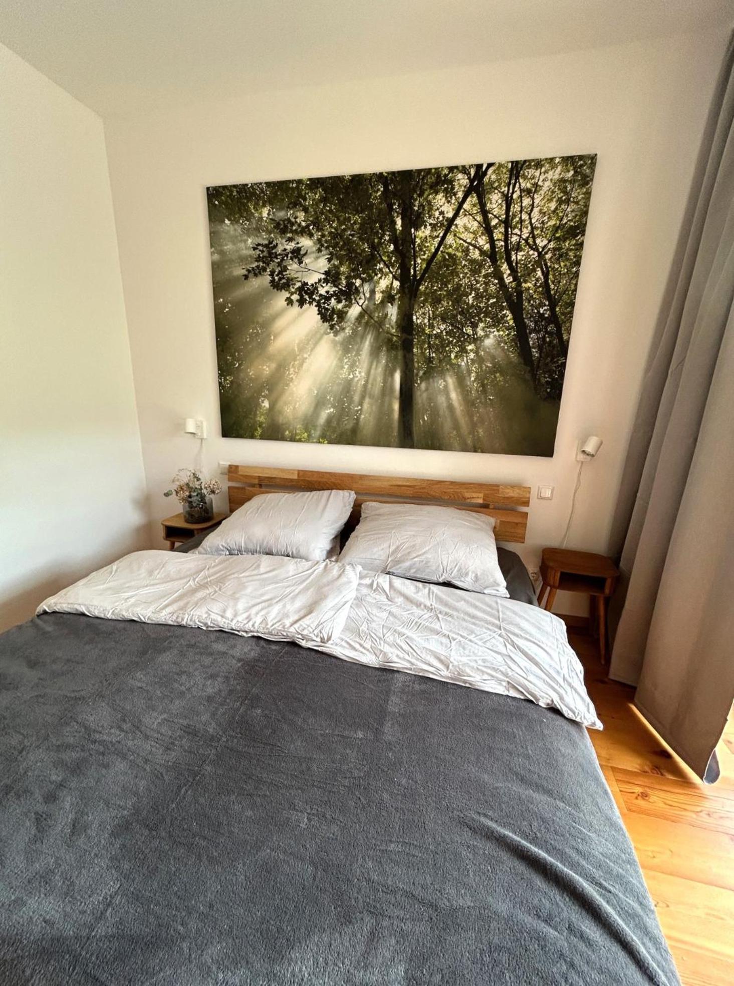 One-Bedroom Deluxe Apartment photo 3