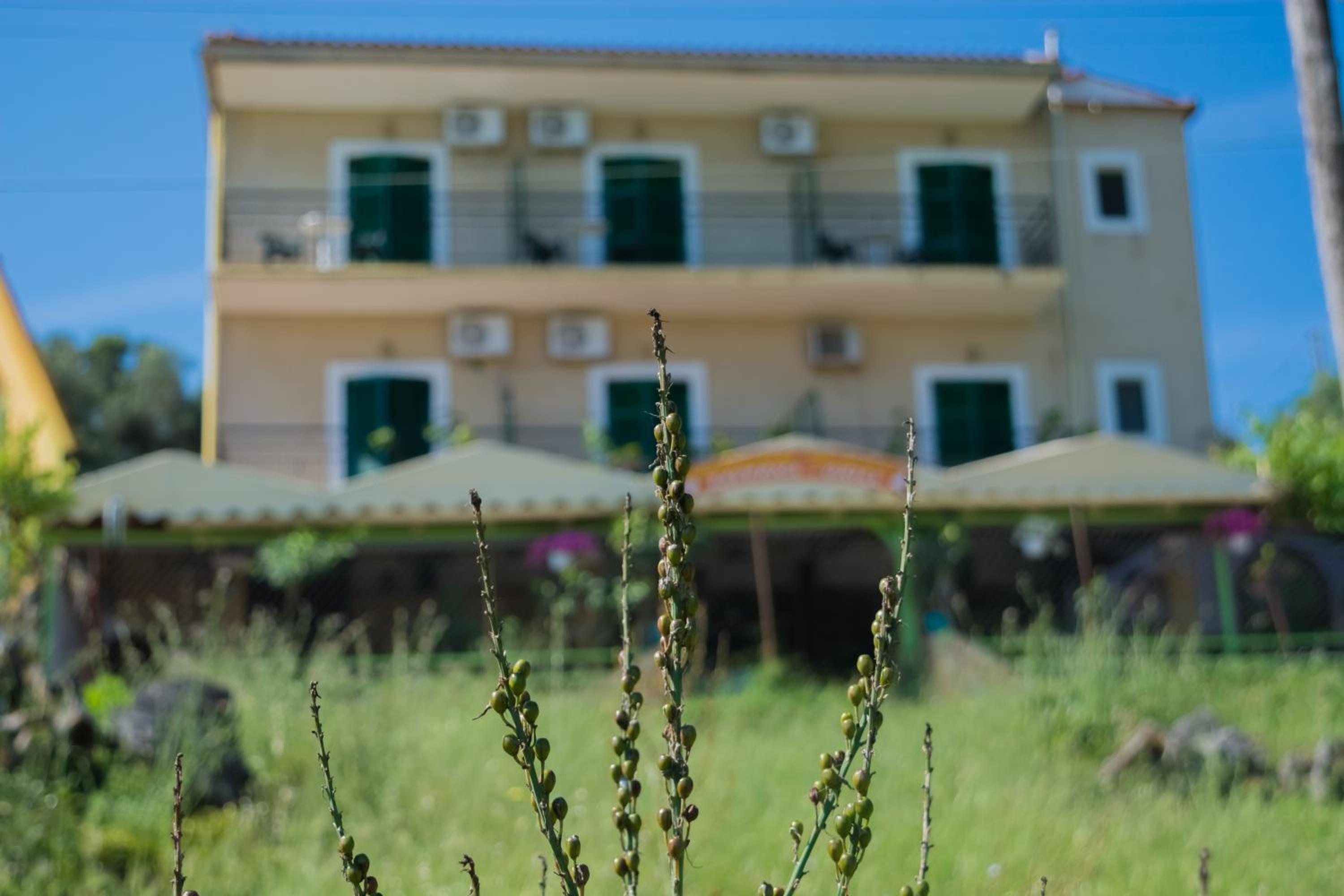 Double Room with Sea View - Photo 7