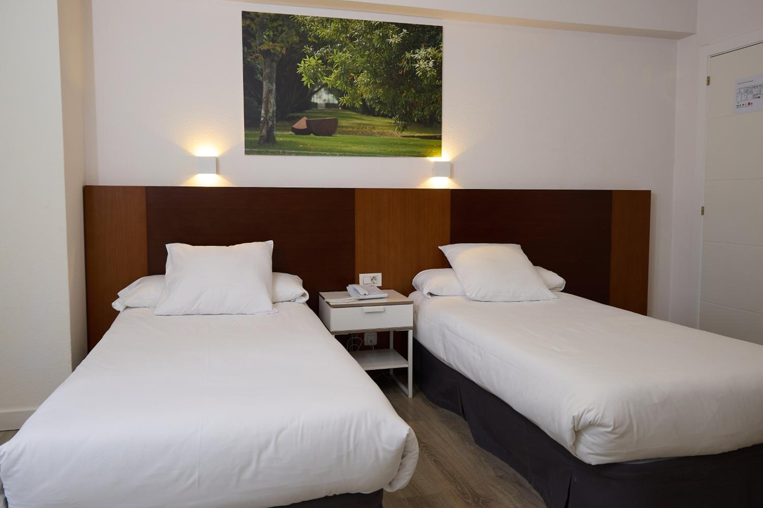 Twin Room with Terrace photo 3