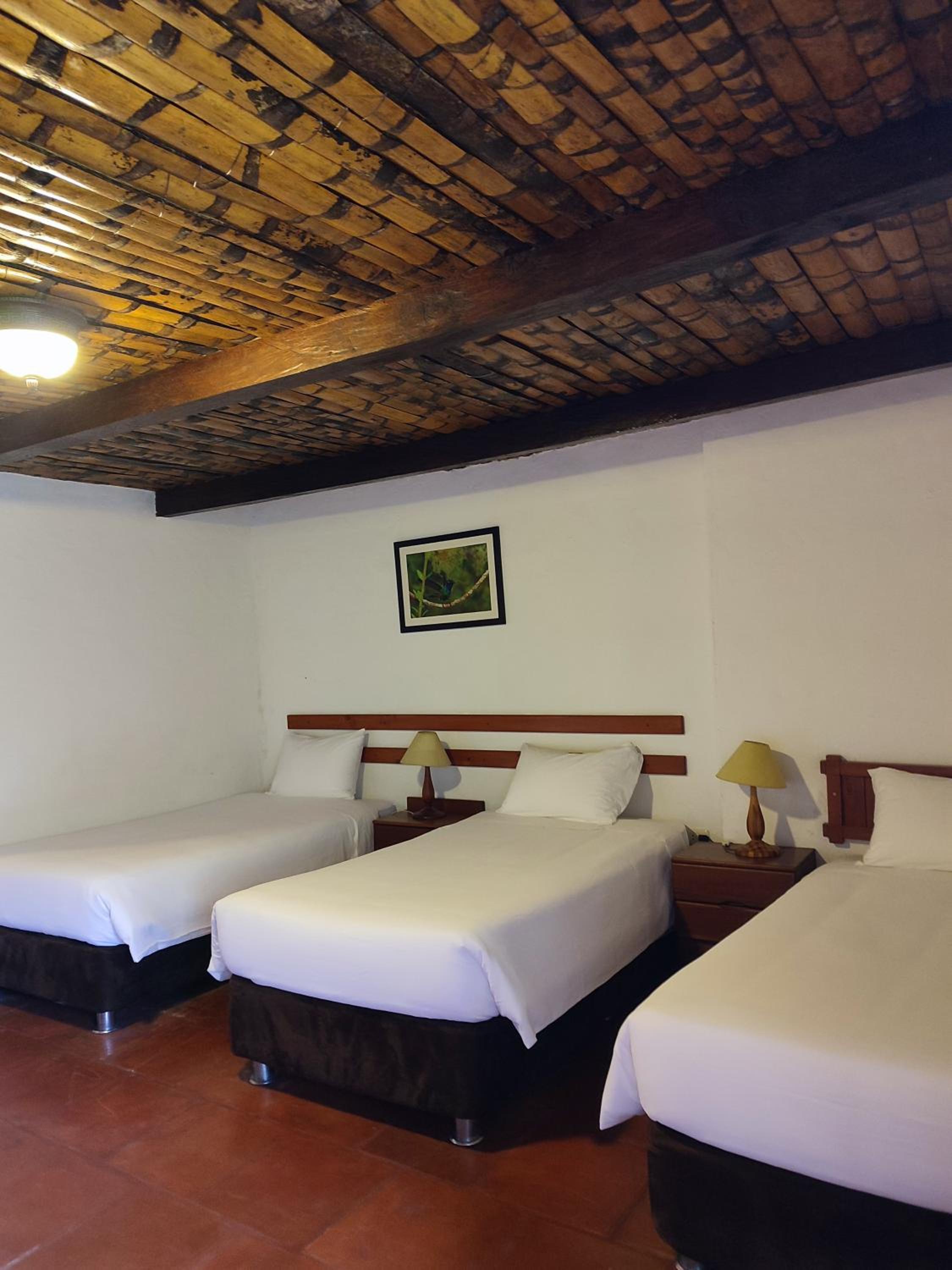 Triple Room photo 2
