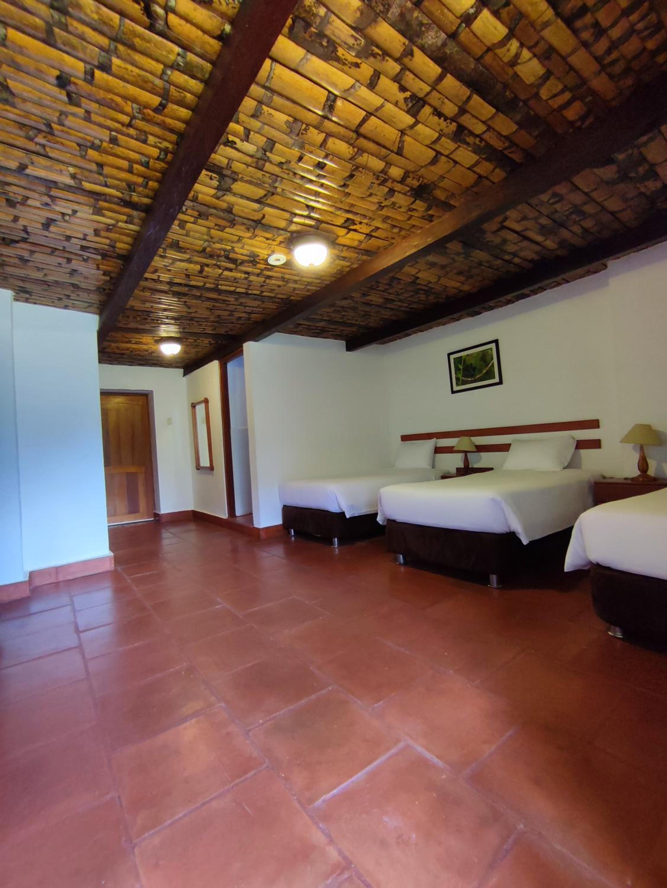 Triple Room photo 3