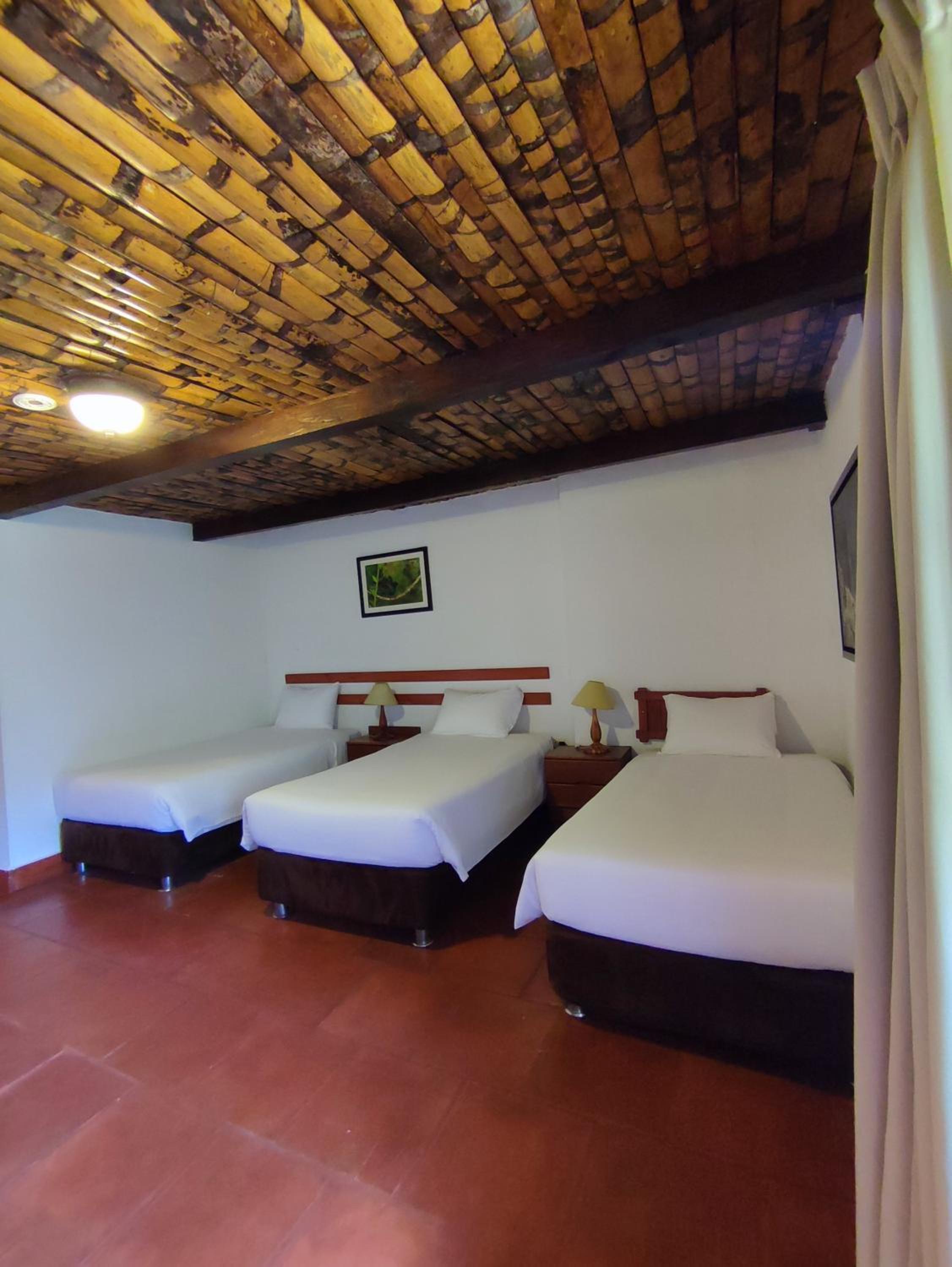Triple Room photo 1