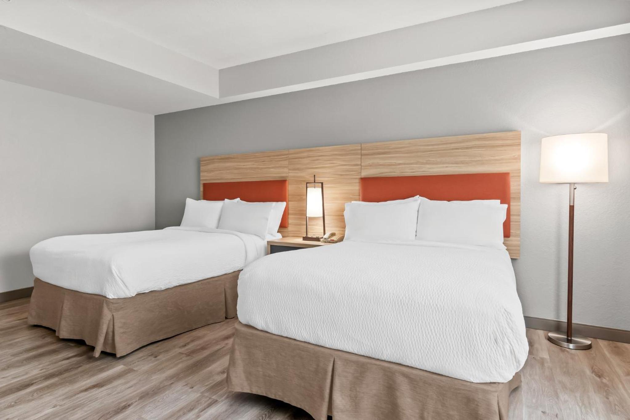 Studio Suite with Two Double Beds and Mobility Accessible Roll-In Shower - Photo 1