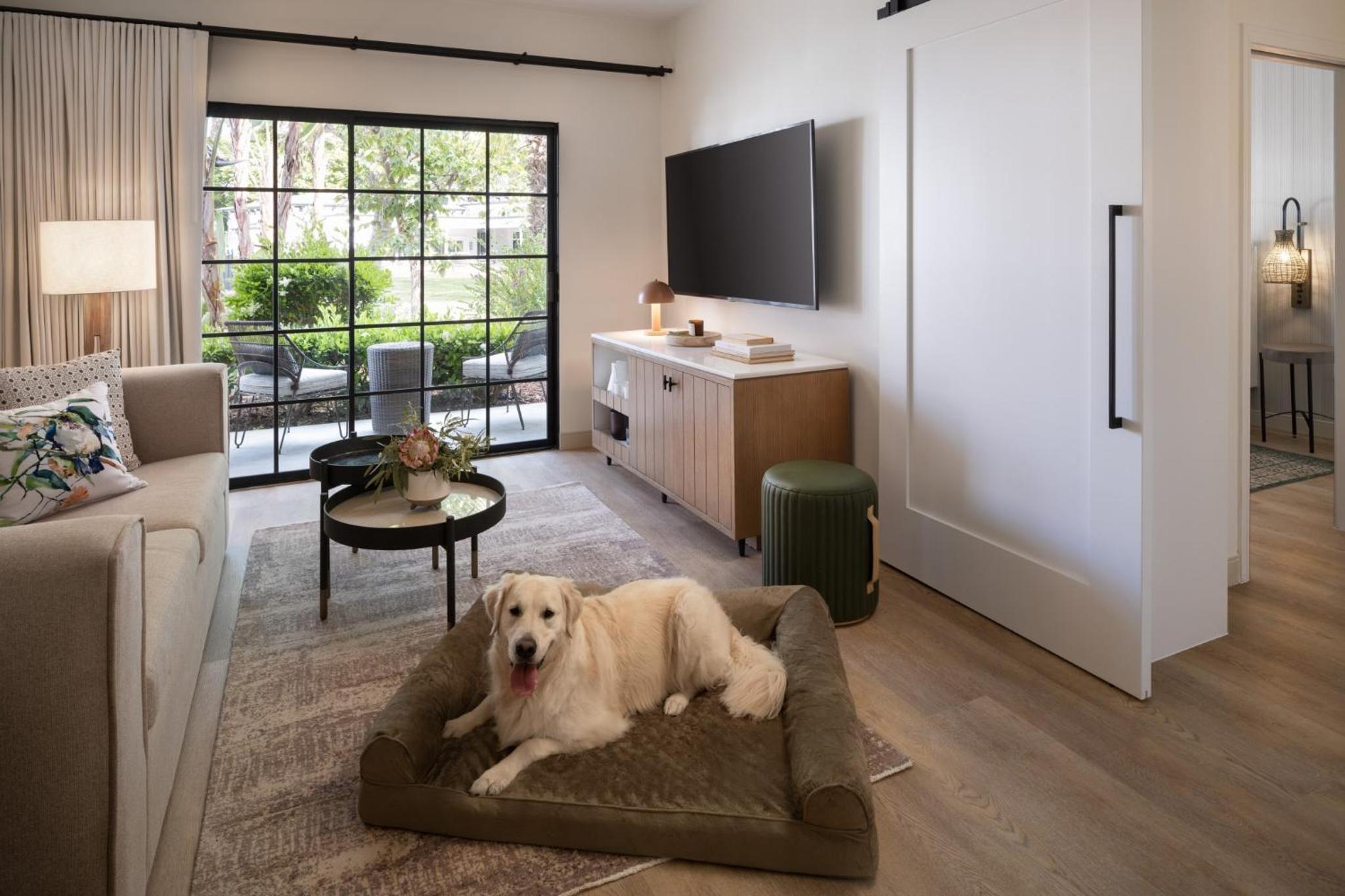 One-Bedroom  Garden Queen Suite with Sofa Bed - Mobility Accessible w/Tub