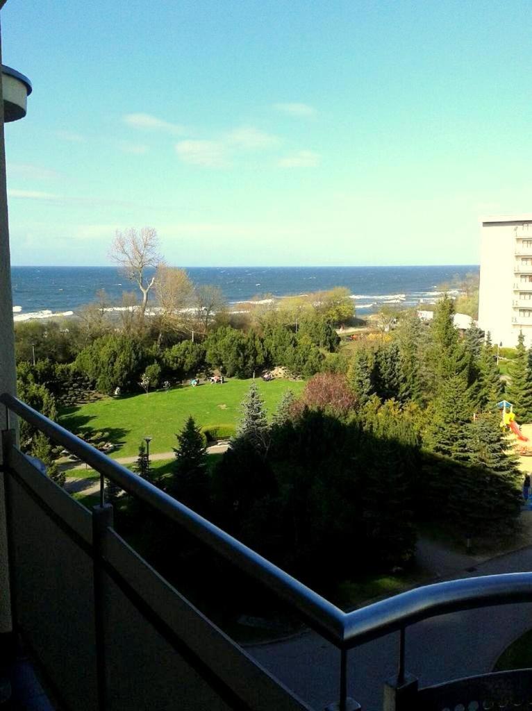 Studio with Sea View photo 2