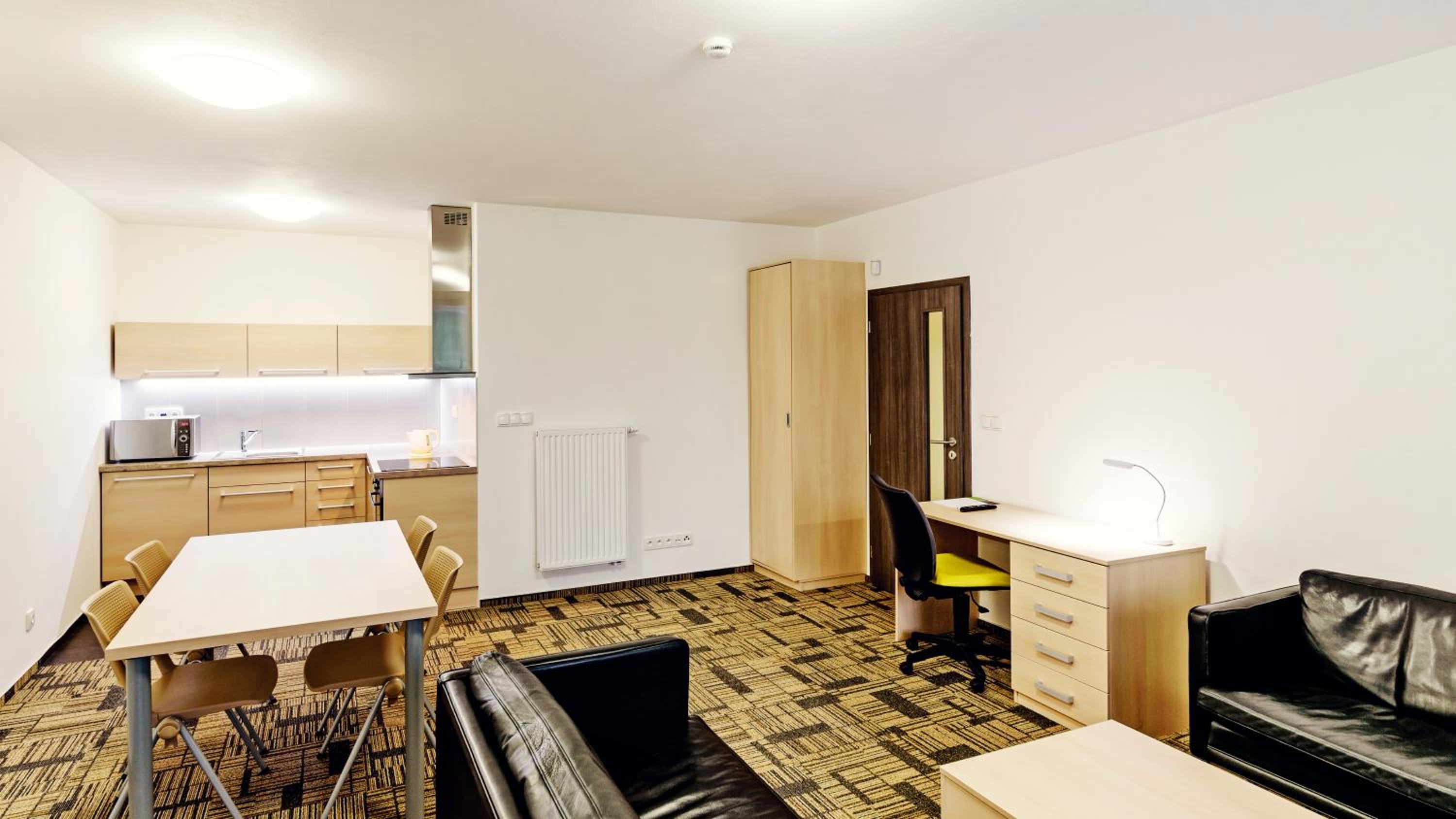 Deluxe Three-Bedroom Apartment with Terrace