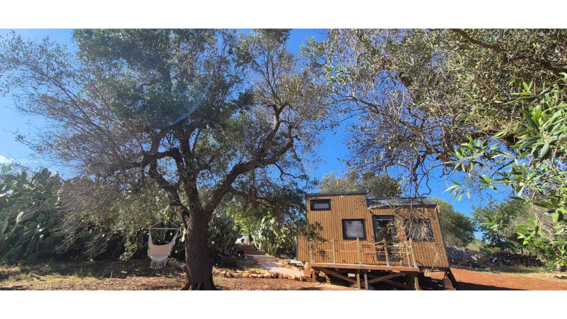 Mobile Home