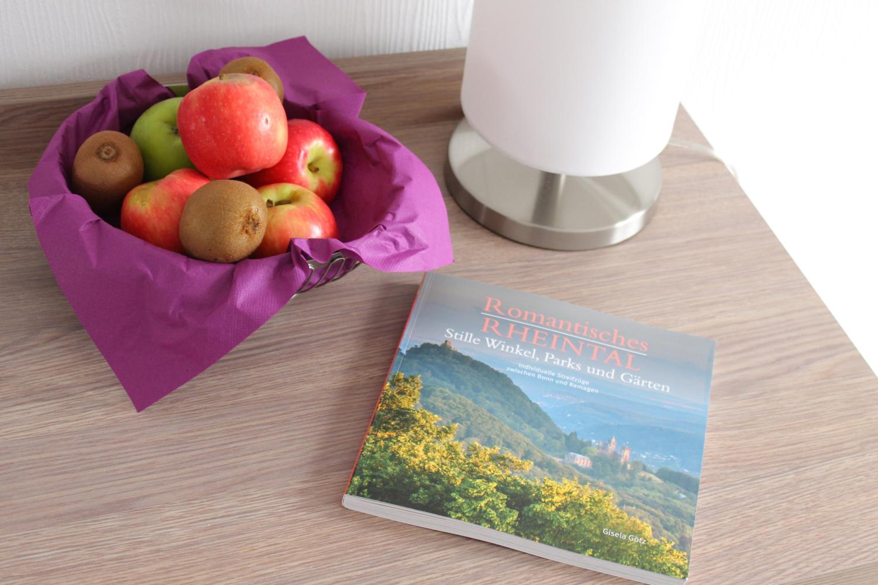 Comfort Double Room with roof terrace and rhine view - Photo 7