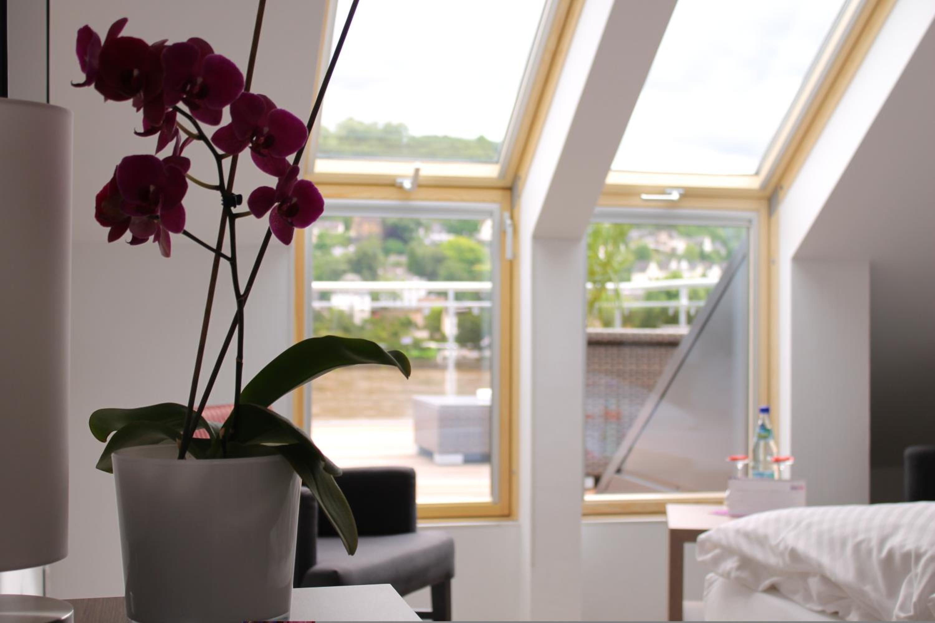 Comfort Double Room with roof terrace and rhine view - Photo 11