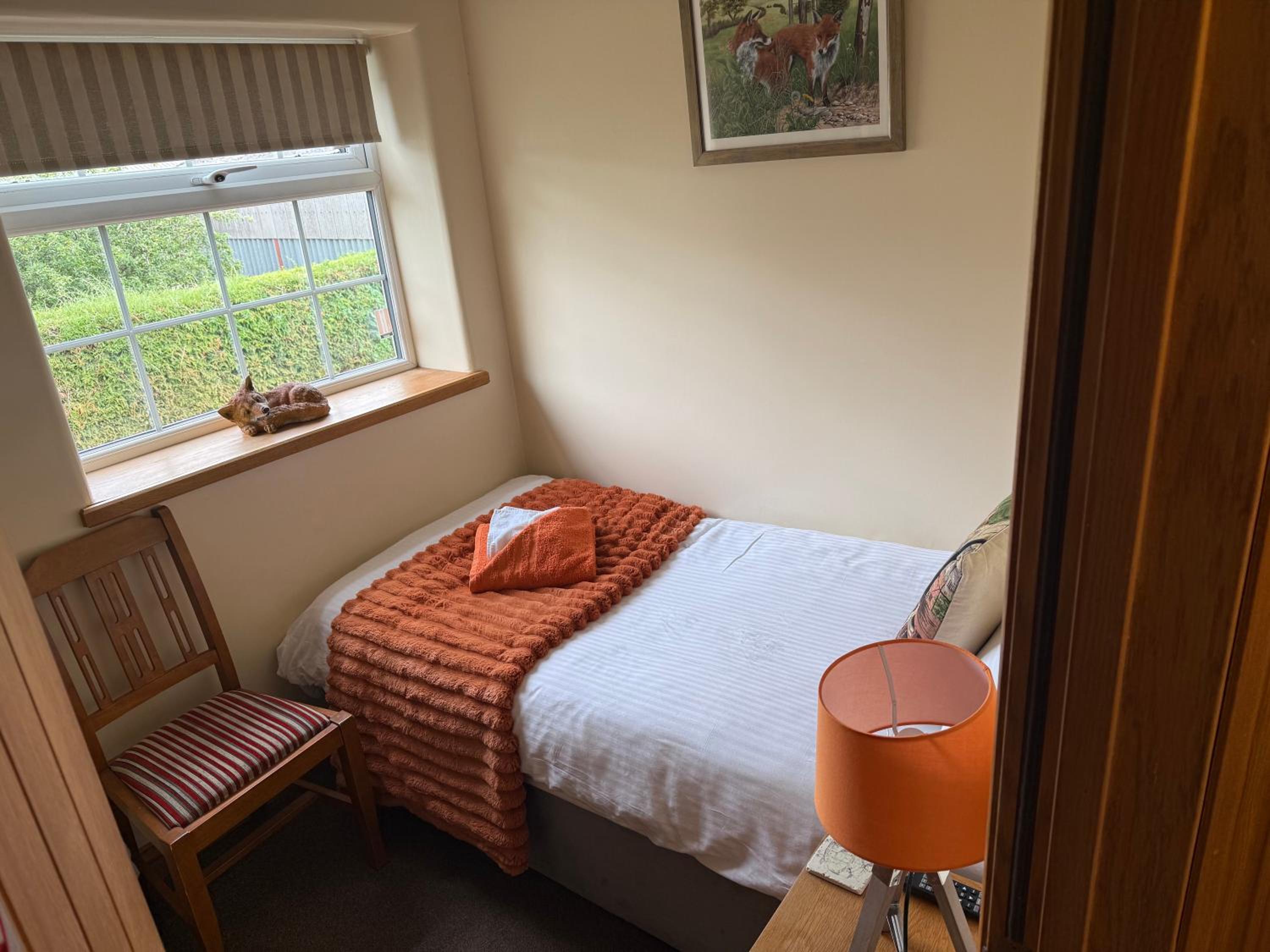 Large Single Room photo 1